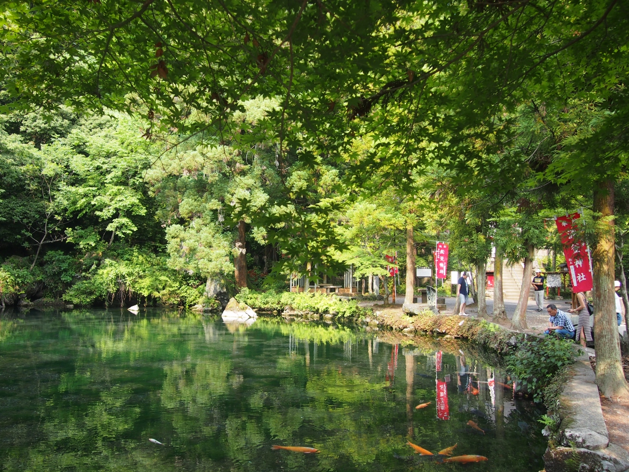 梅雨時期の近場ドライブ お天気が良かったので出流原弁天池へ行ってき 