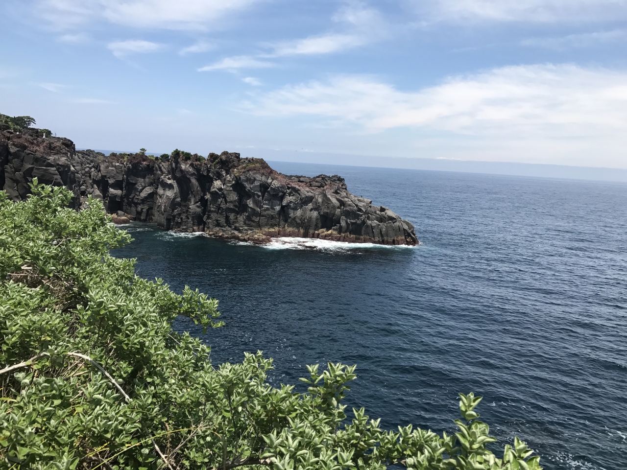 風月無辺 観光篇 静岡県の旅行記 ブログ By Miuさん フォートラベル 風月無辺 観光篇 静岡県の旅行記 ブログ By Miuさん フォートラベル