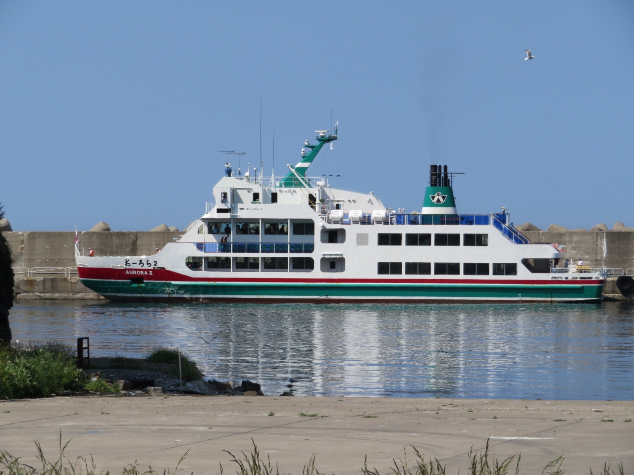 知床旅行 2泊3日 その2 知床クルーズ おーろら号でヒグマやシャチに会う ウトロ 北海道 の旅行記 ブログ By 海人さん フォートラベル