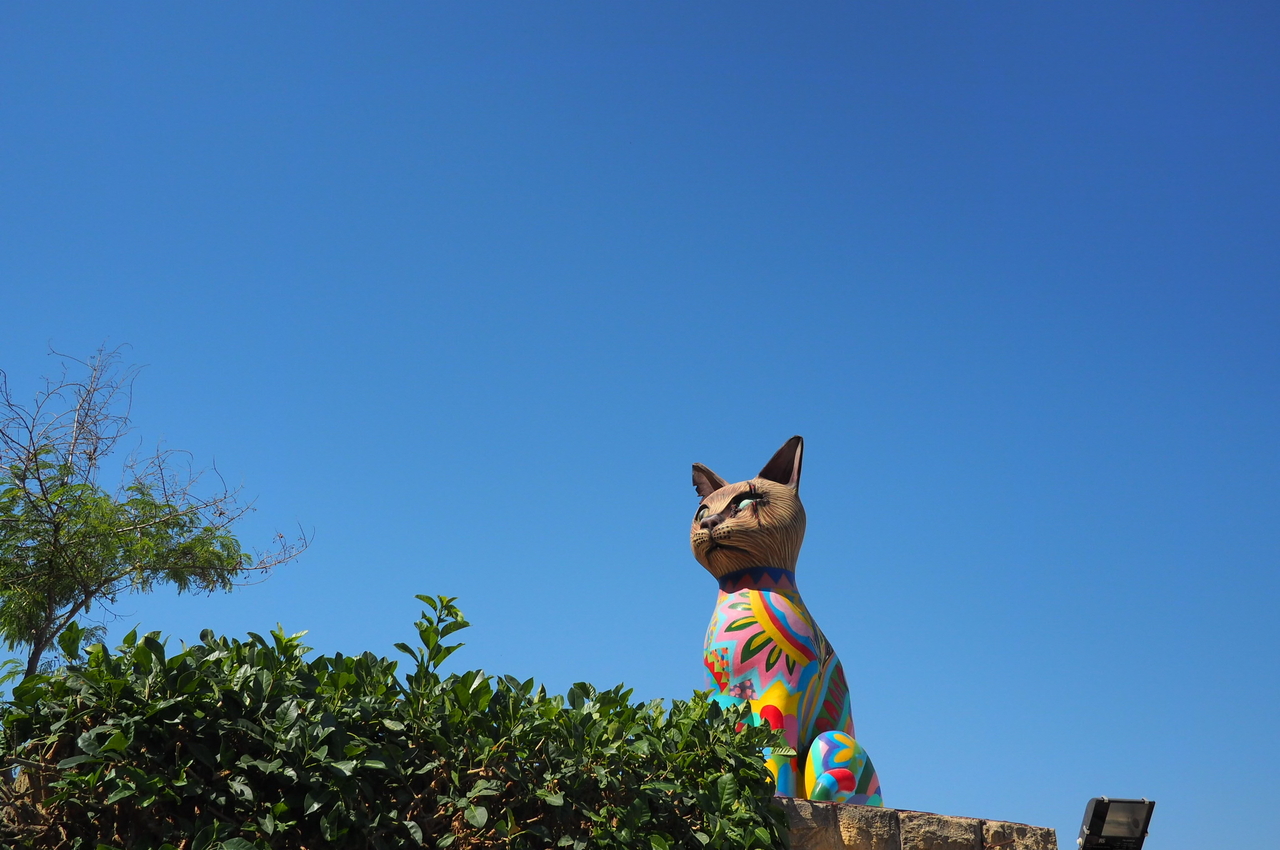 Day7 Last地中海に浮かぶ島マルタでねこ歩き マルタの旅行記 ブログ By Onyanさん フォートラベル