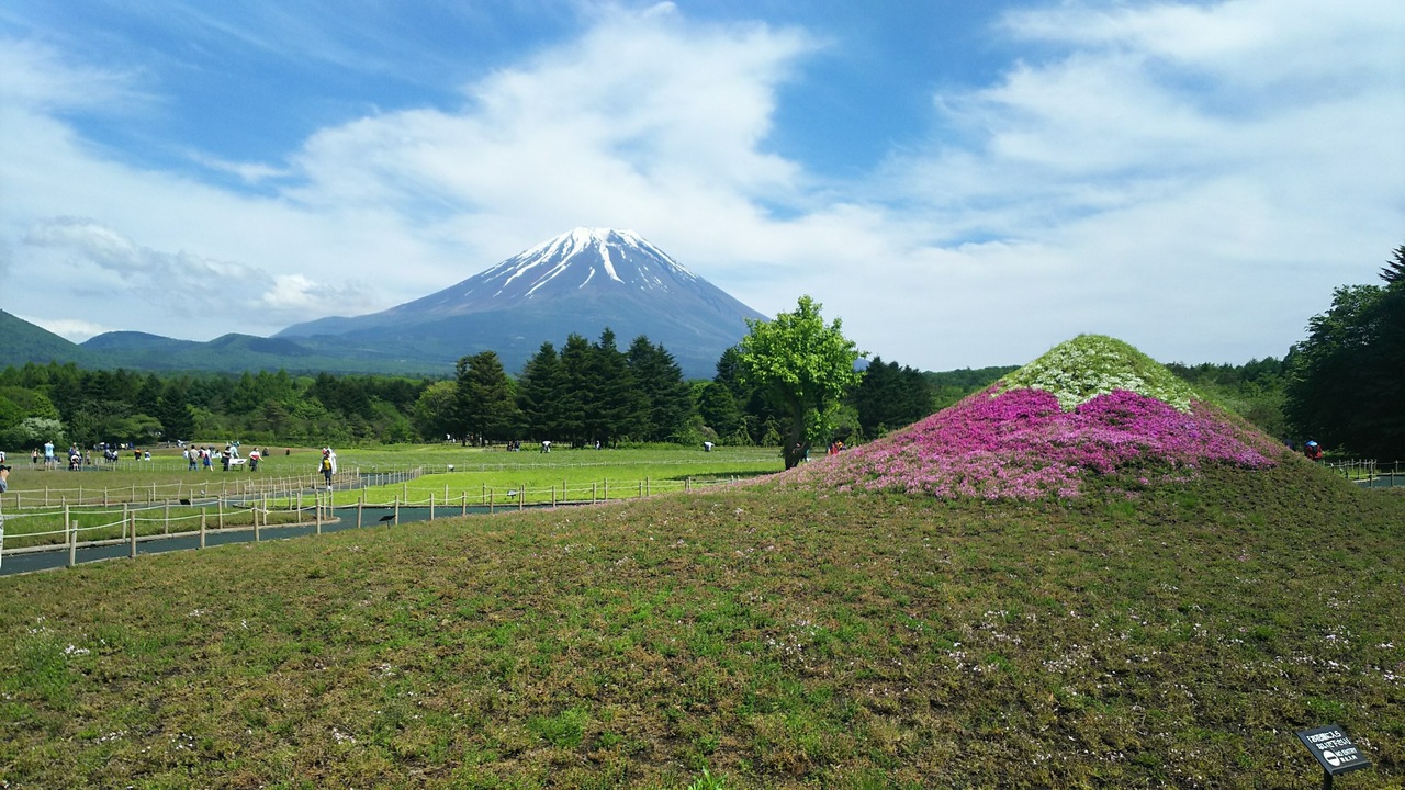 シーズンオフの芝桜 静岡県の旅行記 ブログ By ちゃのさん フォートラベル