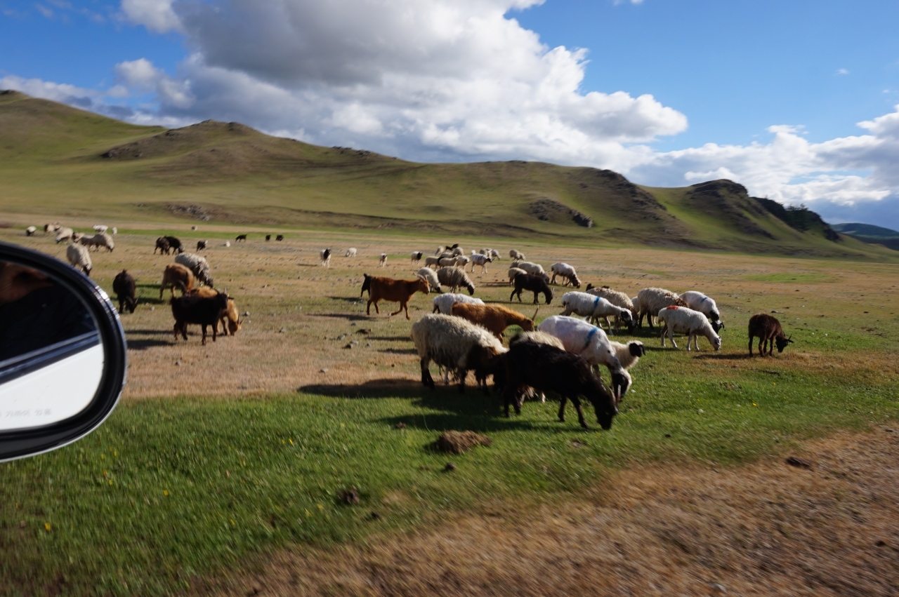 煌めきのモンゴル大自然の旅 ブルドとカラコルム カラコルム モンゴル の旅行記 ブログ By Youさん フォートラベル