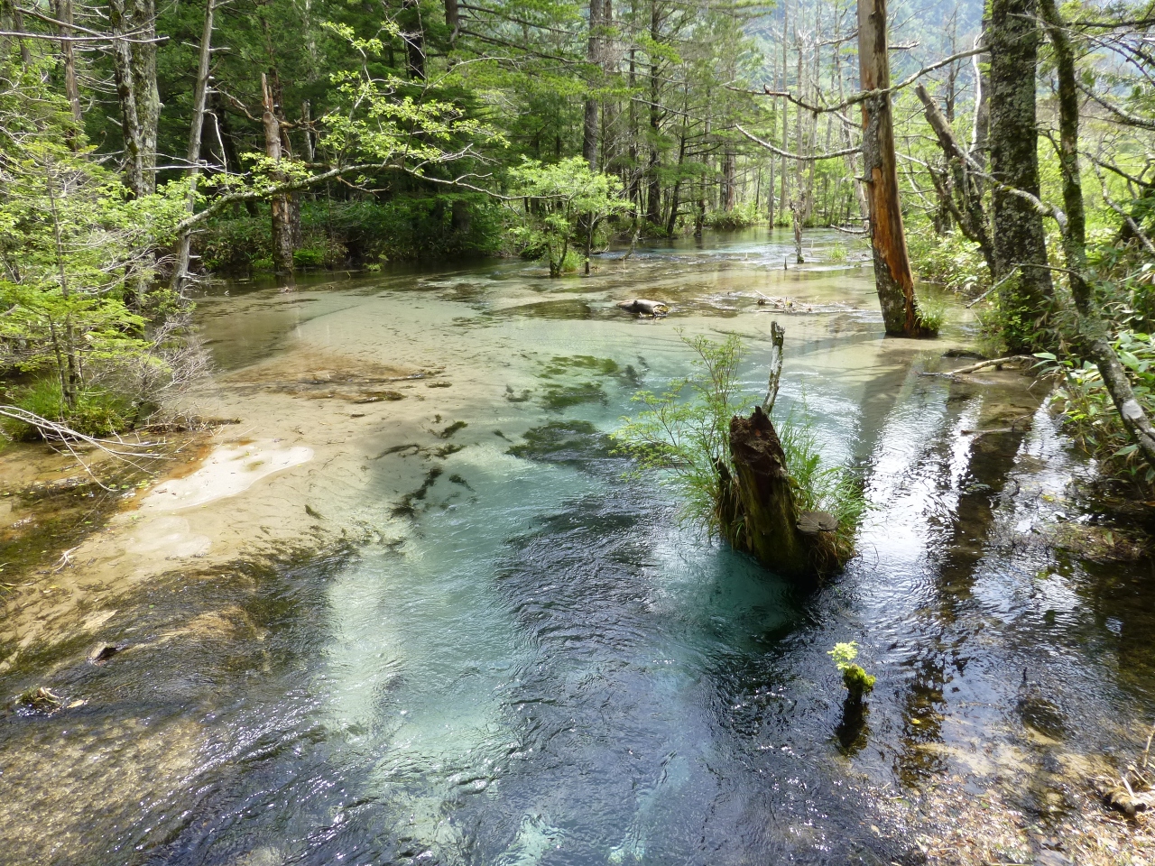 夏の上高地旅行 上高地 長野県 の旅行記 ブログ By 凛音さん フォートラベル