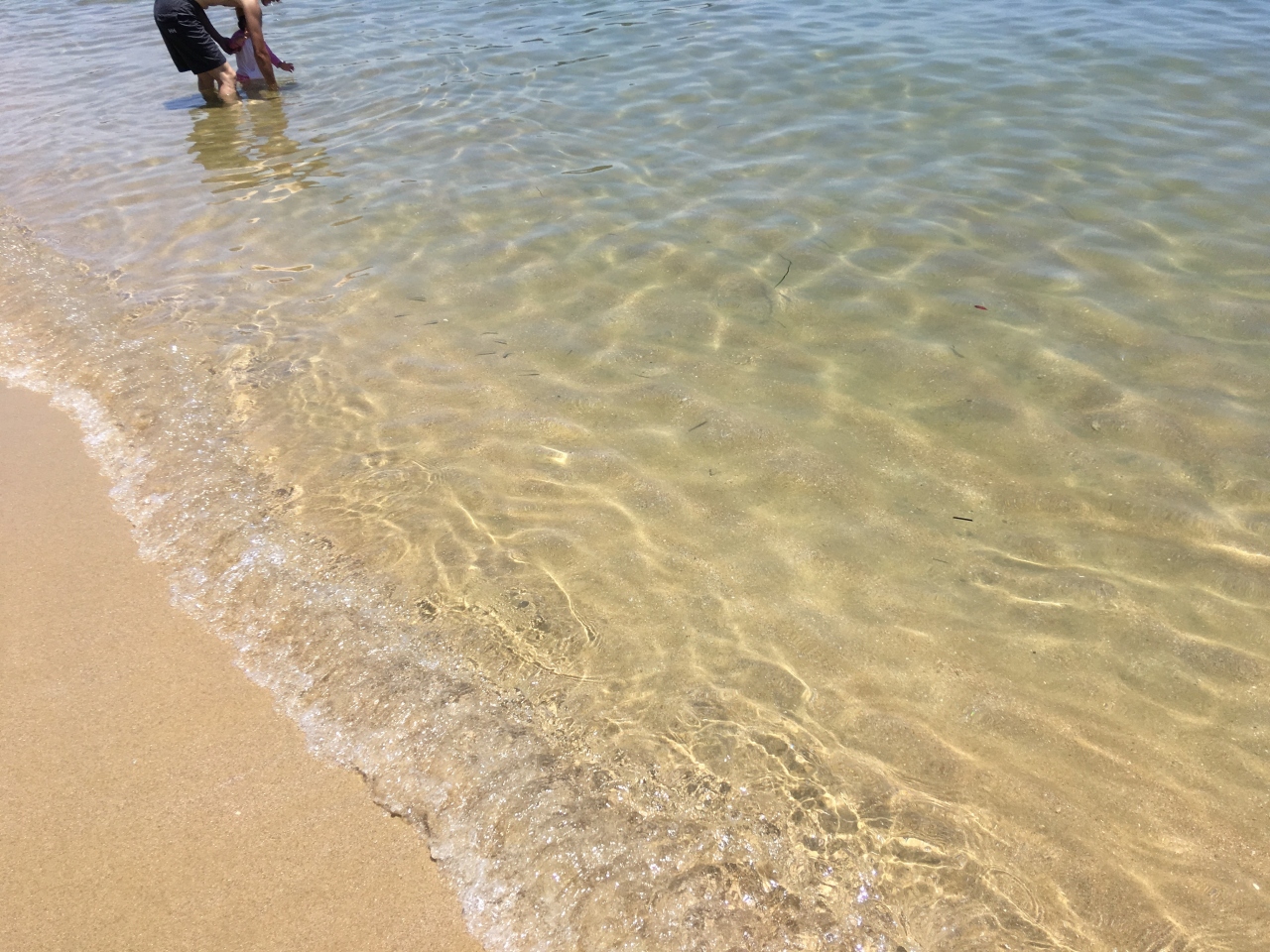 公共交通機関で行く日帰り篠島海水浴 内海 南知多 愛知県 の旅行記 ブログ By Snowさん フォートラベル