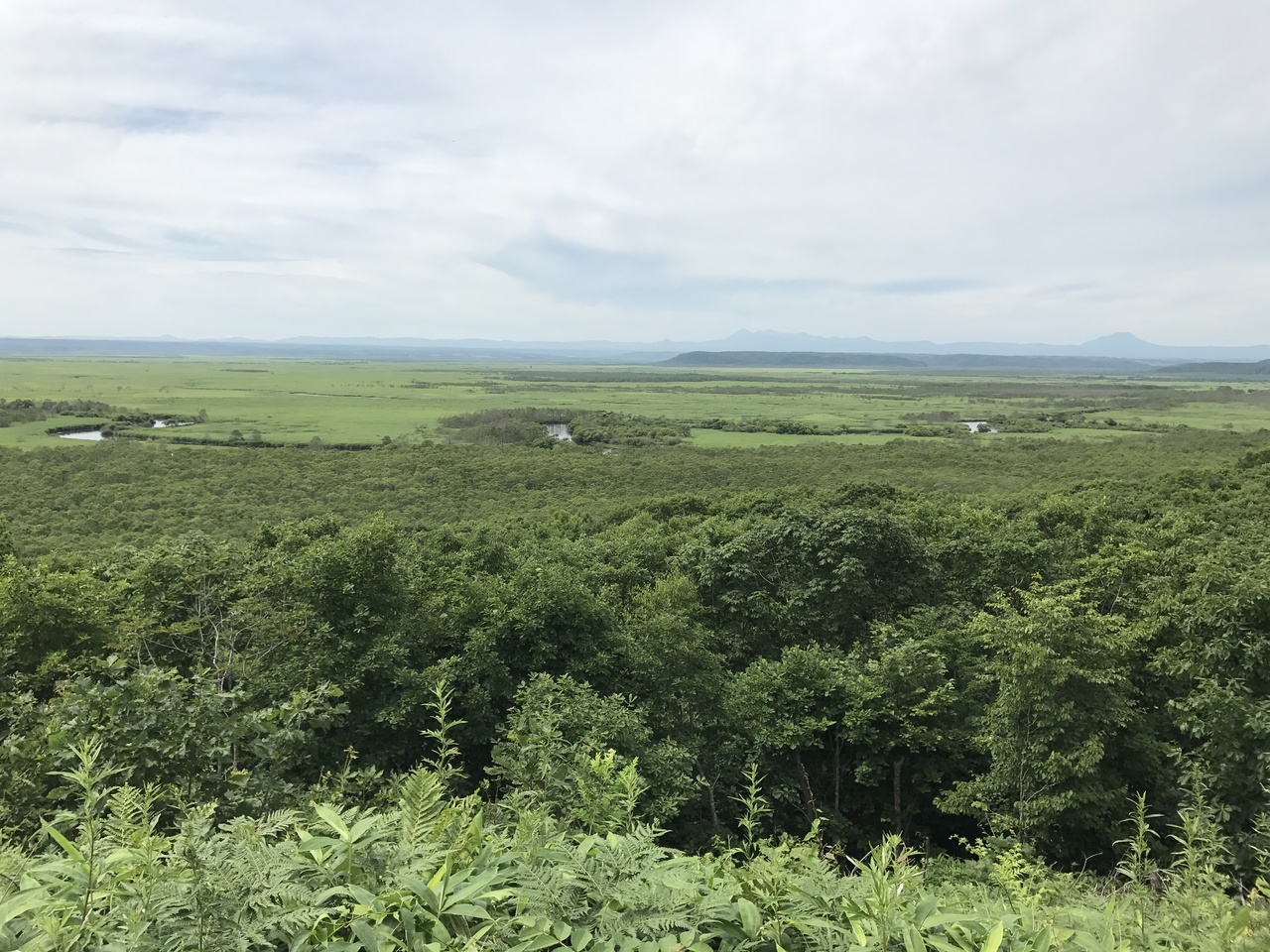 北海道一人旅 Jrで釧路と釧路湿原へ 釧路 北海道 の旅行記 ブログ By りらっくまさん フォートラベル 北海道一人旅 Jrで釧路と釧路湿原へ 釧路 北海道 の旅行記 ブログ By りらっくまさん フォートラベル