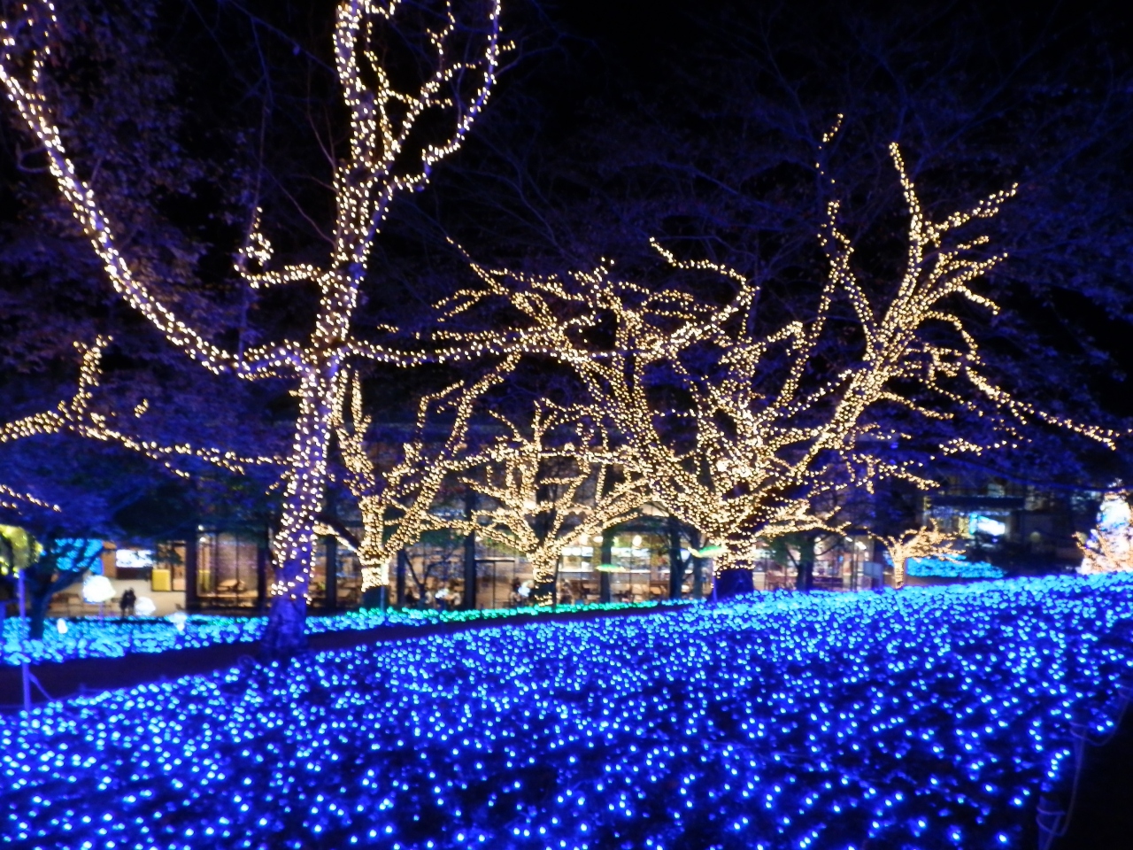 11月初旬のさがみ湖イルミリオン 相模原 神奈川県 の旅行記 ブログ By ガッサンさん フォートラベル 11月初旬のさがみ湖イルミリオン 相模原 神奈川県 の旅行記 ブログ By ガッサンさん フォートラベル