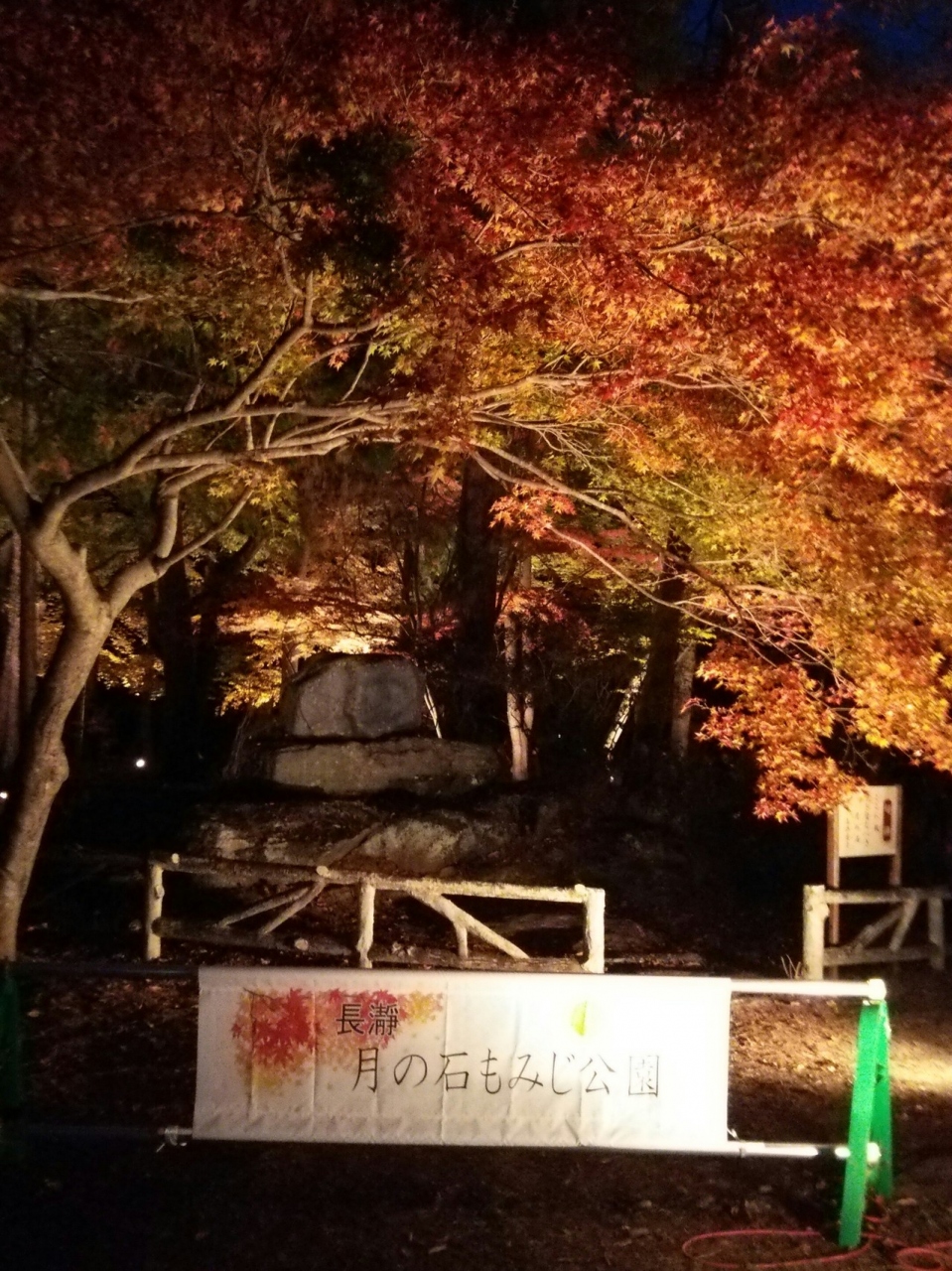 日本 長瀞 一時帰国で小観光 長瀞 埼玉県 の旅行記 ブログ By 出張が多かった小旅人さん フォートラベル