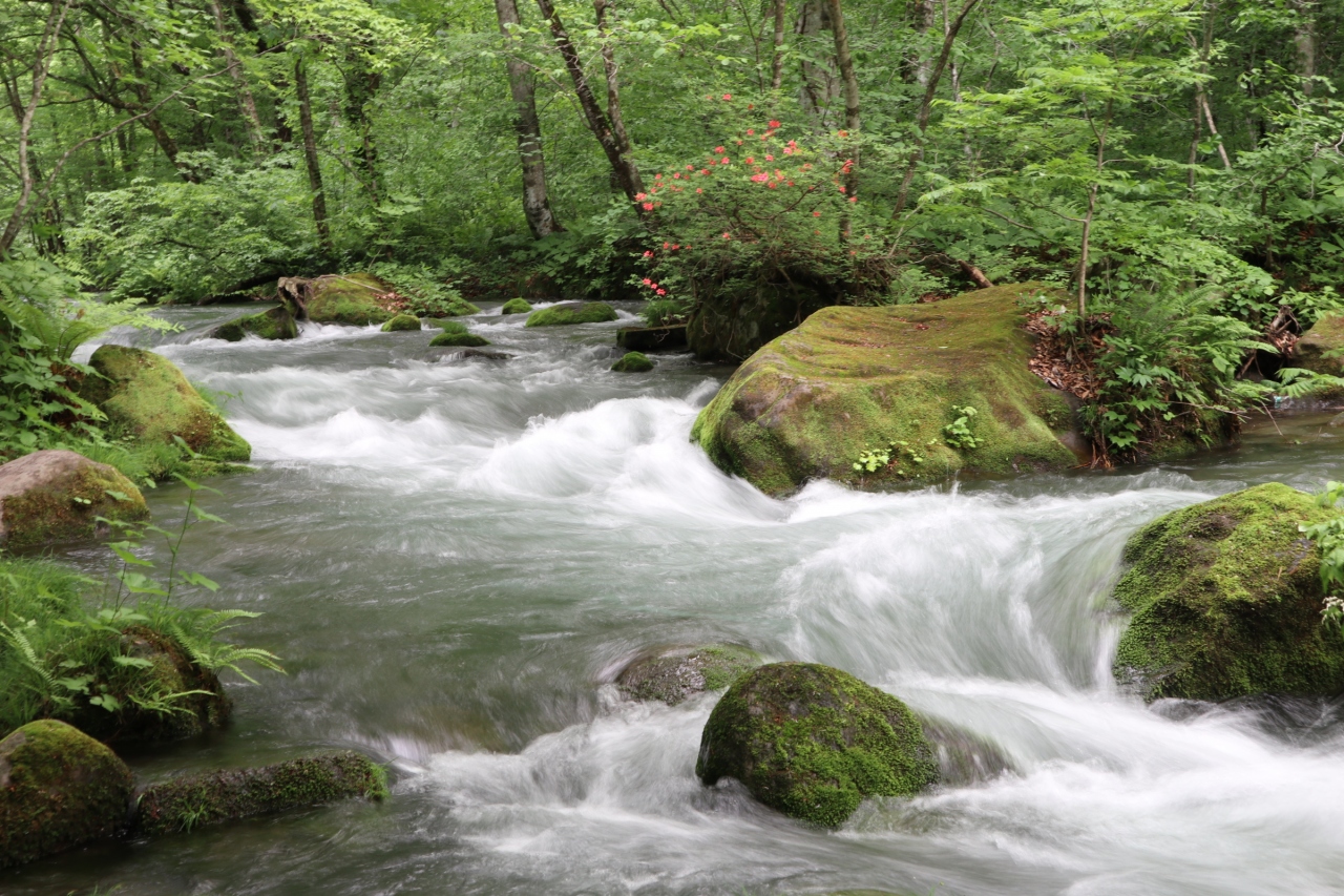 青森 十和田湖 奥入瀬渓流とグルメな旅 奥入瀬 十和田湖 青森県 の旅行記 ブログ By Toroppeさん フォートラベル