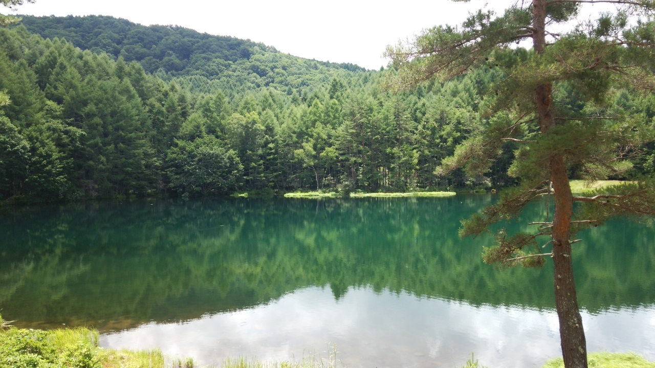 横谷峡散策 ゴールは東山魁夷の名画の世界 御射鹿池 長野２ 白樺湖 蓼科 車山 長野県 の旅行記 ブログ By まりもまめさん フォートラベル