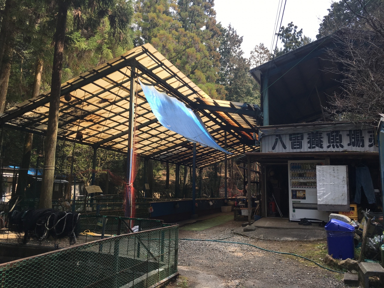 八曽ます釣りとひばりが丘公園 犬山 愛知県 の旅行記 ブログ By ｊｉｎちゃんさん フォートラベル