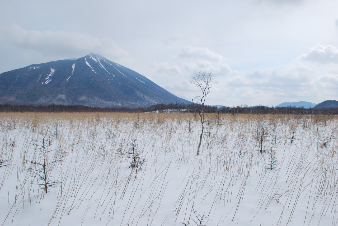 雪の戦場ヶ原トレッキング 日光湯元温泉 栃木県 の旅行記 ブログ By Tackさん フォートラベル