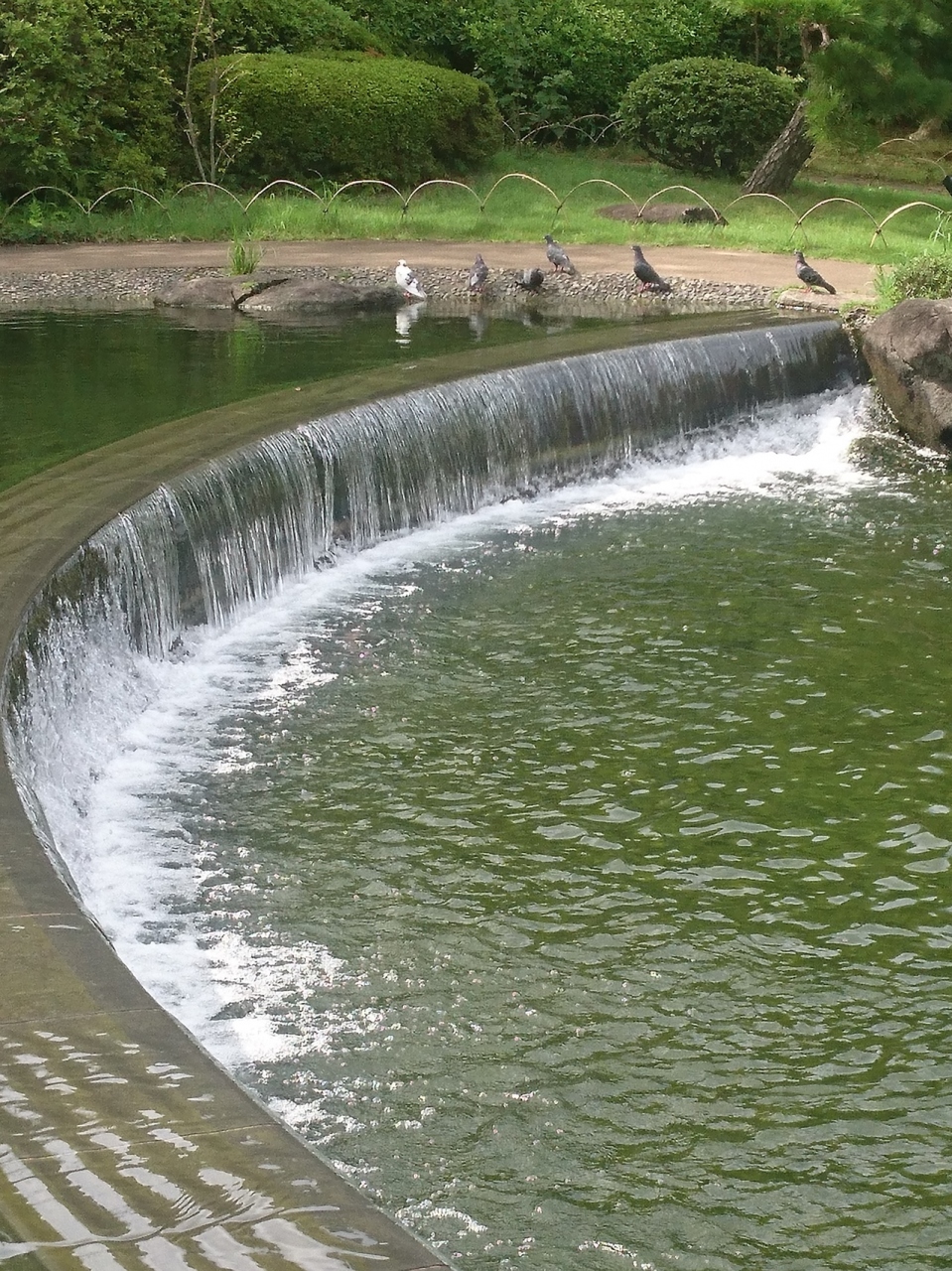 行船公園と城南島をお散歩 葛西 東京 の旅行記 ブログ By Hibiscusさん フォートラベル 行船公園と城南島をお散歩 葛西 東京 の旅行記 ブログ By Hibiscusさん フォートラベル