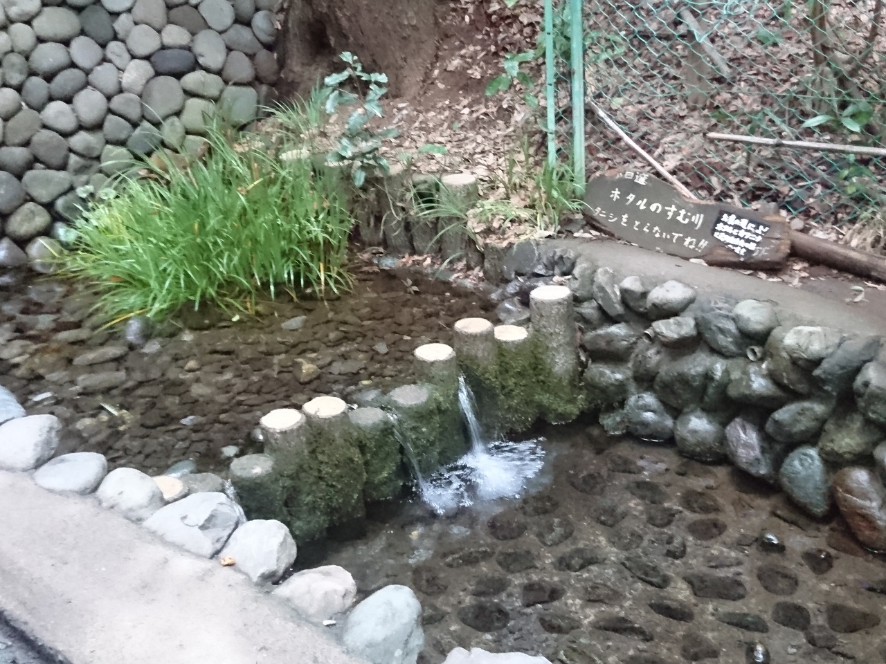 ひとり散歩 国分寺 国分寺 小金井 東京 の旅行記 ブログ By ちゃきんさん フォートラベル