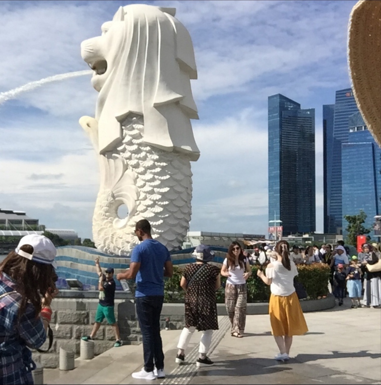 10ヶ月の子連れ シンガポール シンガポール シンガポール の旅行記 ブログ By Mamanaさん フォートラベル