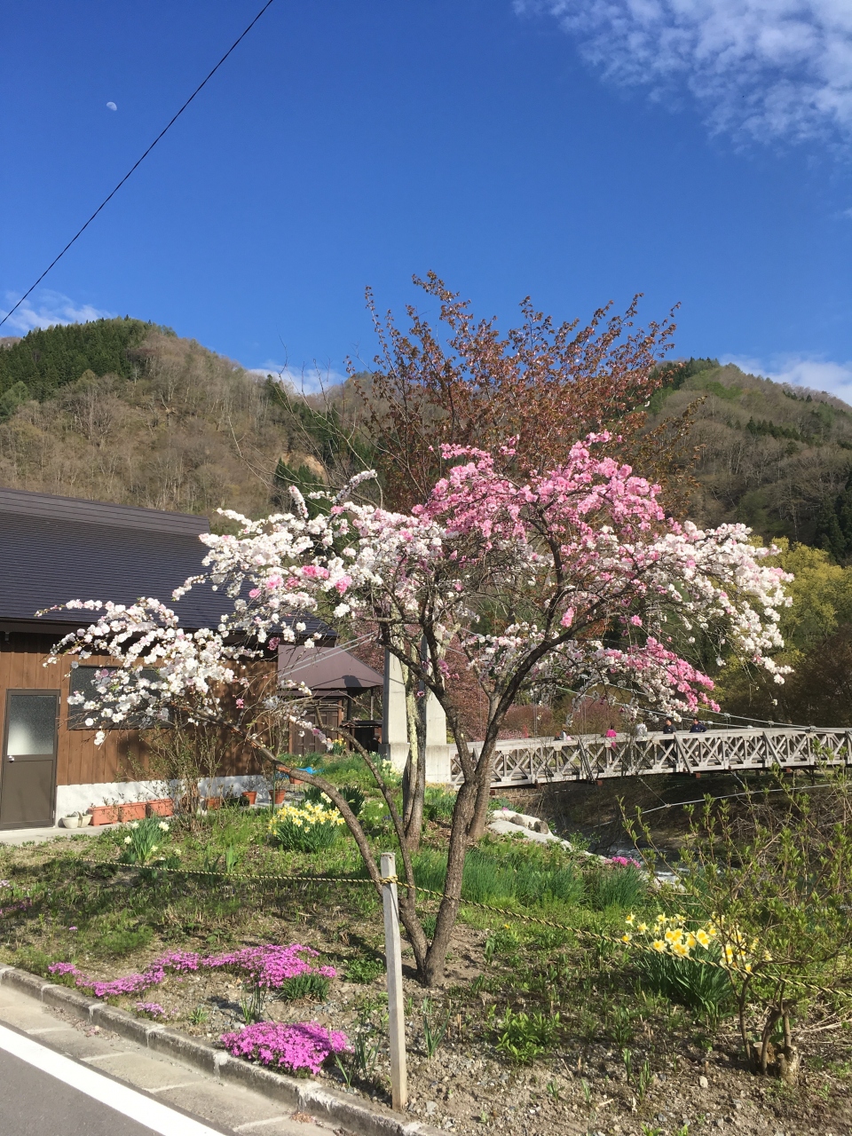 長野超穴場 里山の花三昧巡り 長野県の旅行記 ブログ By Peko2525さん フォートラベル