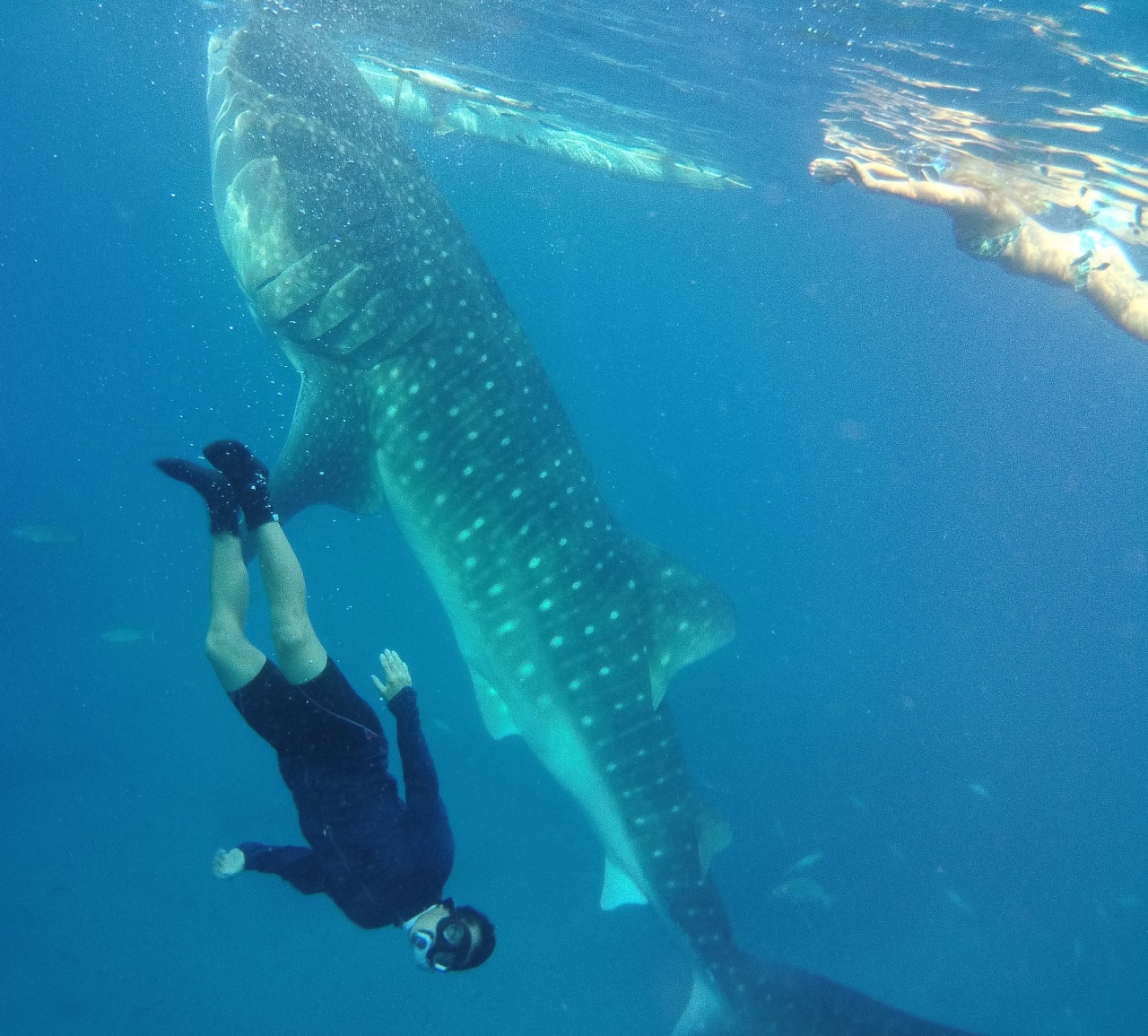 セブ島へ家族旅行 ラプラプ シティー セブシティー編 ３日 5日目 セブ島 フィリピン の旅行記 ブログ By Noboreeさん フォートラベル