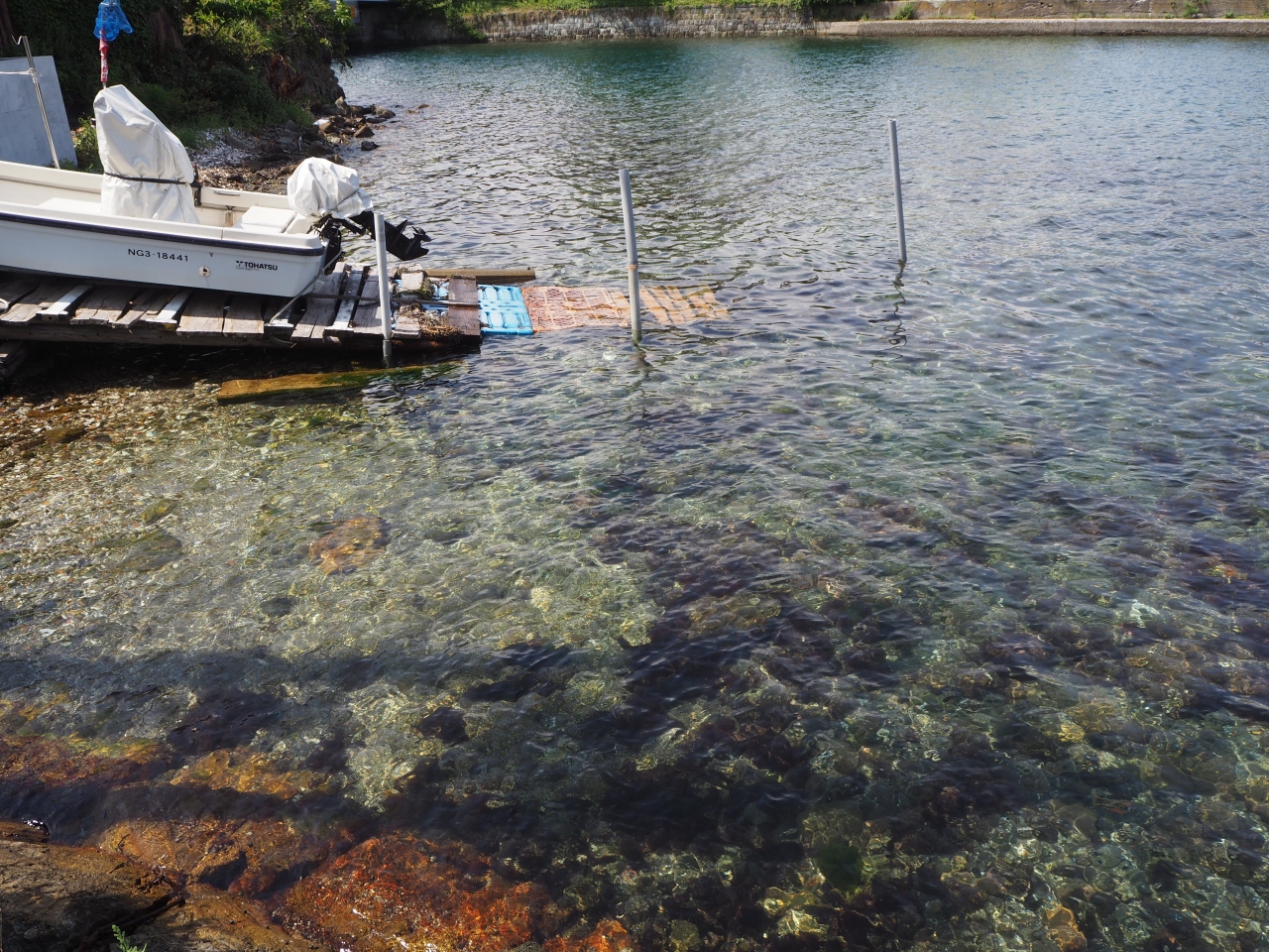 佐渡 巨大廃墟 青すぎる空 そして再会 佐渡島 新潟県 の旅行記 ブログ By シロツグさん フォートラベル