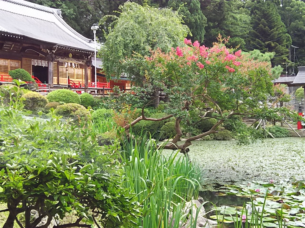 お盆の盛岡パワースポットへ 盛岡 岩手県 の旅行記 ブログ By Hanahana Kさん フォートラベル お盆の盛岡パワースポットへ 盛岡 岩手県 の旅行記 ブログ By Hanahana Kさん フォートラベル