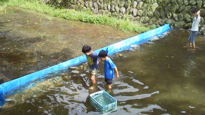 雨だとつらい 下部温泉 山梨県 の旅行記 ブログ By Makiさん フォートラベル 雨だとつらい 下部温泉 山梨県 の旅行記 ブログ By Makiさん フォートラベル