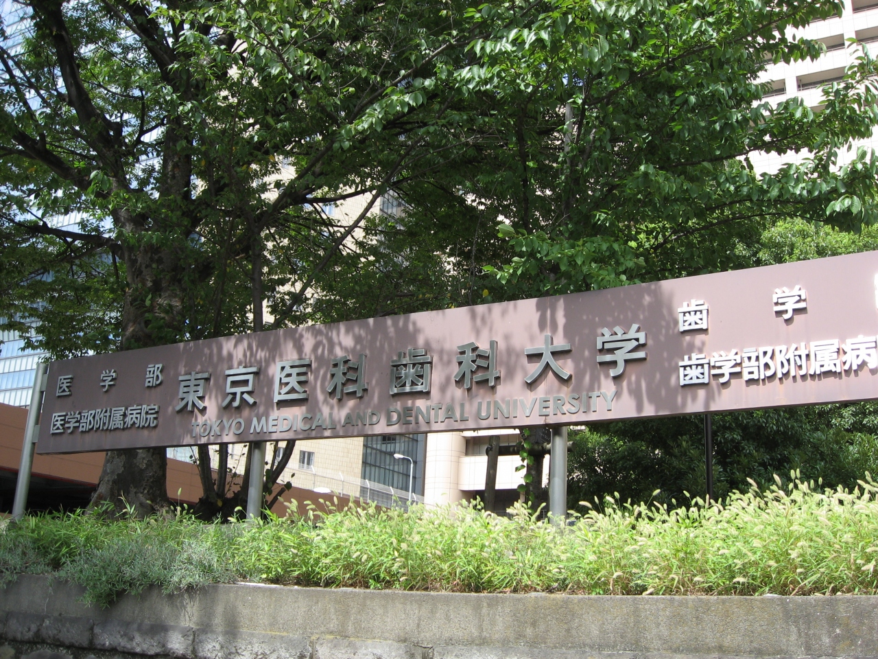学食訪問 30 東京医科歯科大学 御茶ノ水 本郷 東京 の旅行記 ブログ By まつかこさん フォートラベル 学食訪問 30 東京医科歯科大学 御茶ノ水 本郷 東京 の旅行記 ブログ By まつかこさん フォートラベル