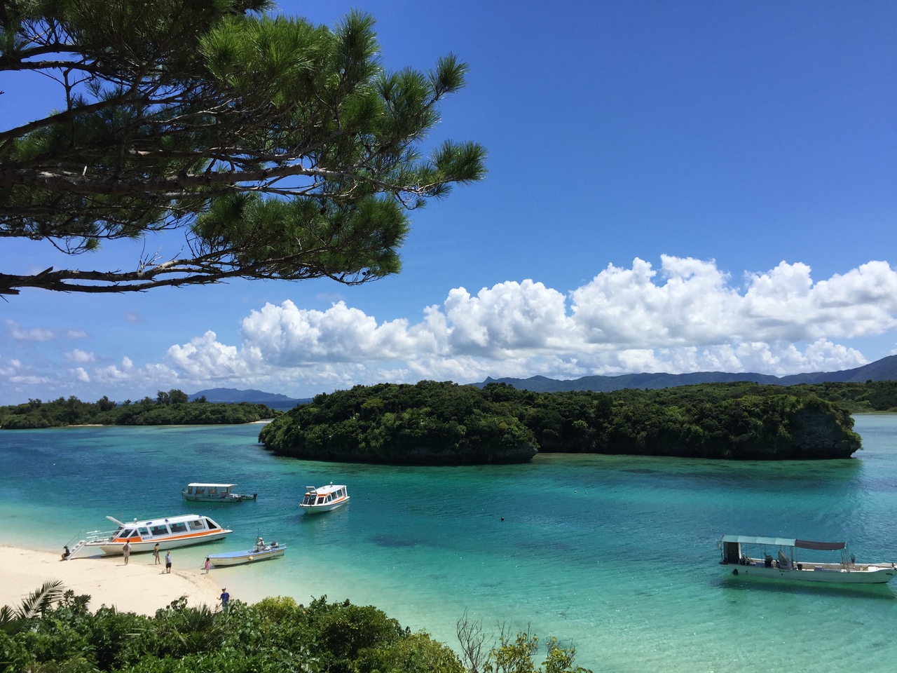 島 観光 石垣