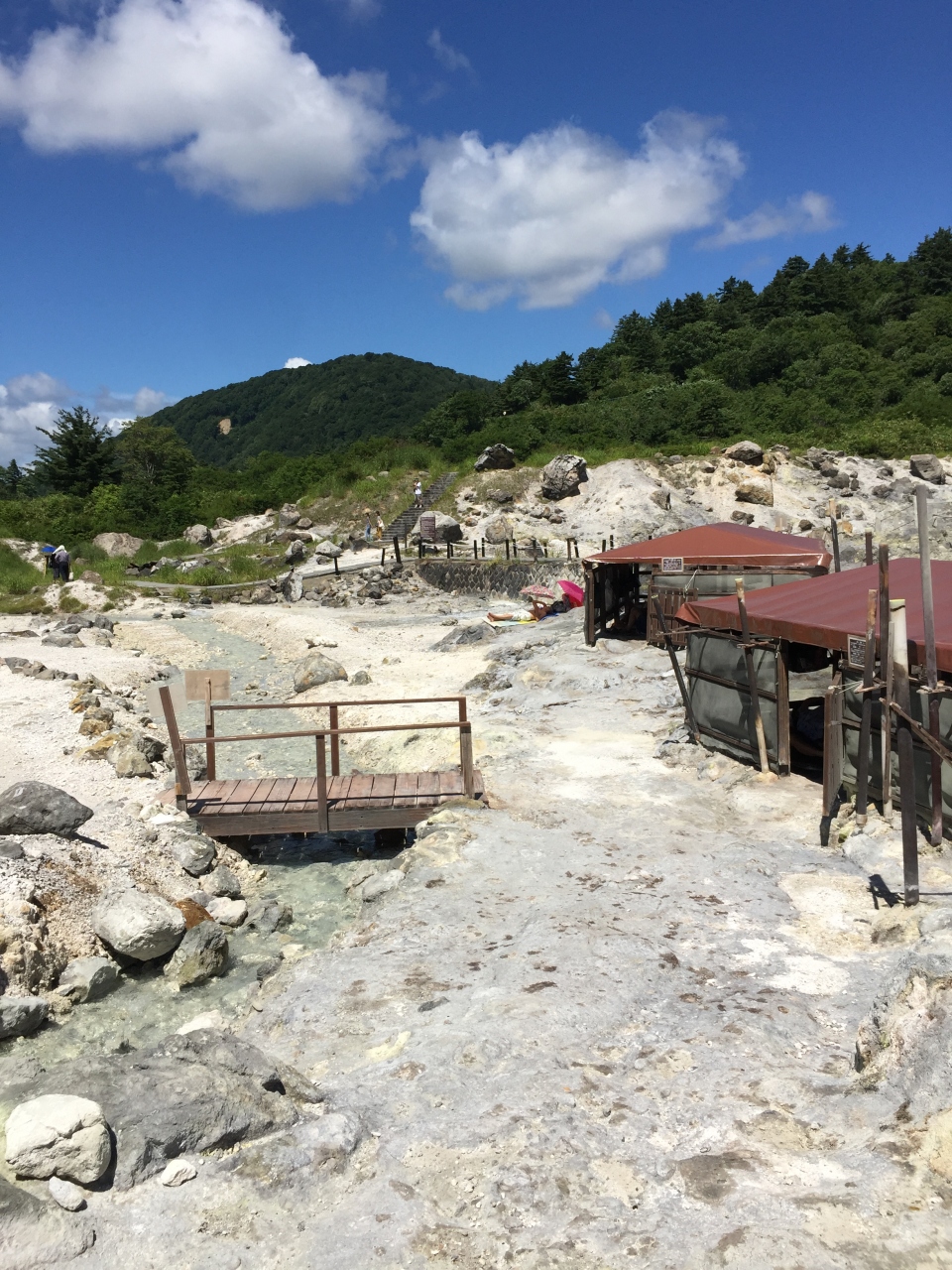 玉川 温泉 新