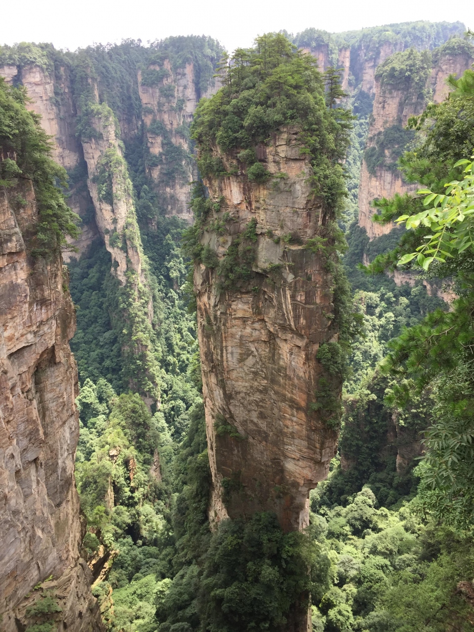 Fc夫婦世界一周 97 世界遺産はアバターのロケ地 張家界 中国 の旅行記 ブログ By かっくんさん フォートラベル