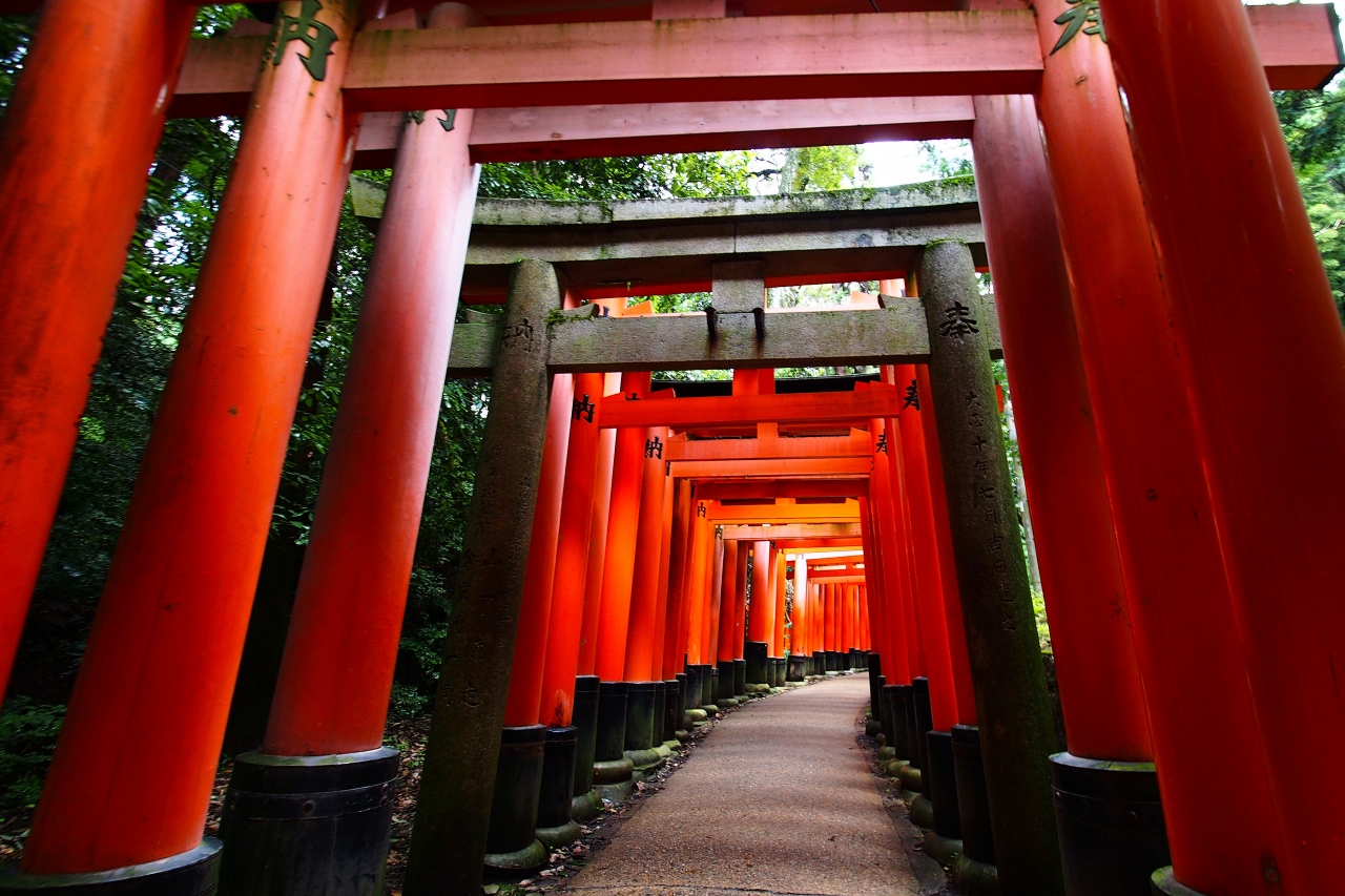 深緑の青モミジを訪ね歩く夏の旅 In 京都 17 02 3日目 京都 京都の旅行記 ブログ By Rieさん フォートラベル