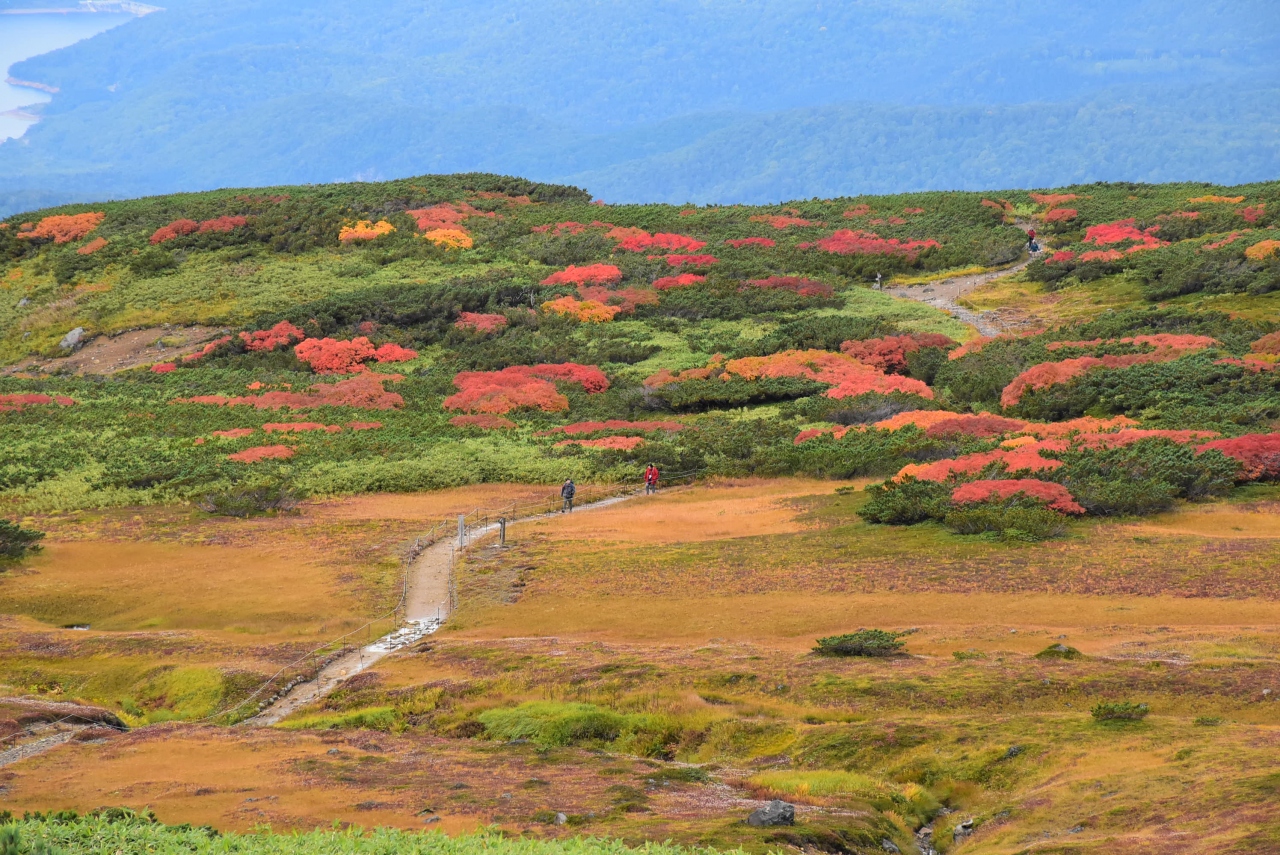 旭岳姿見の色鮮やかな紅葉 17 北海道大雪山 旭岳 天人峡 白金 北海道 の旅行記 ブログ By かっちんさん フォートラベル