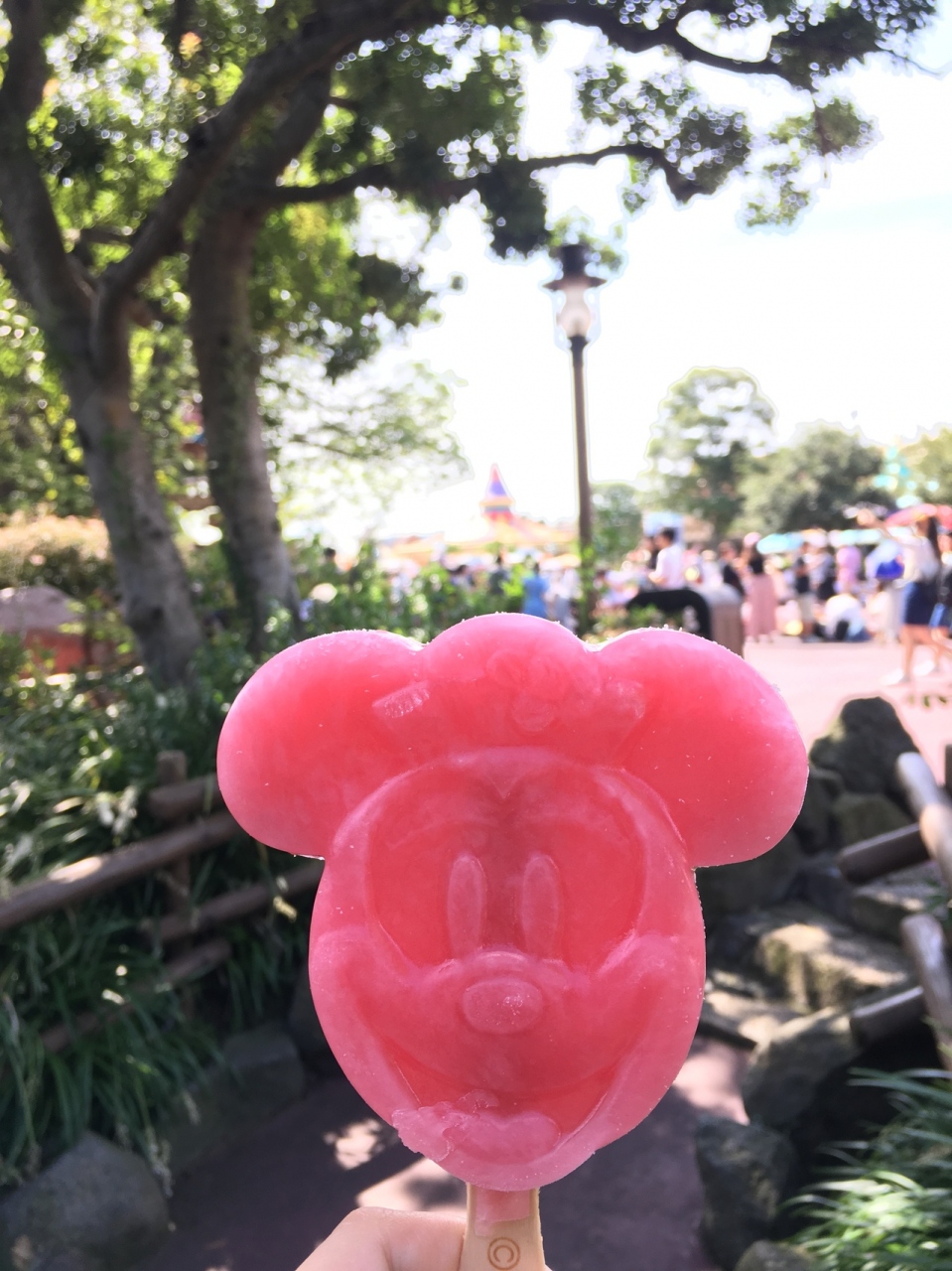息子と初の2人旅 東京ディズニーリゾート 千葉県 の旅行記 ブログ By Yunさん フォートラベル 息子と初の2人旅 東京ディズニーリゾート 千葉県 の旅行記 ブログ By Yunさん フォートラベル