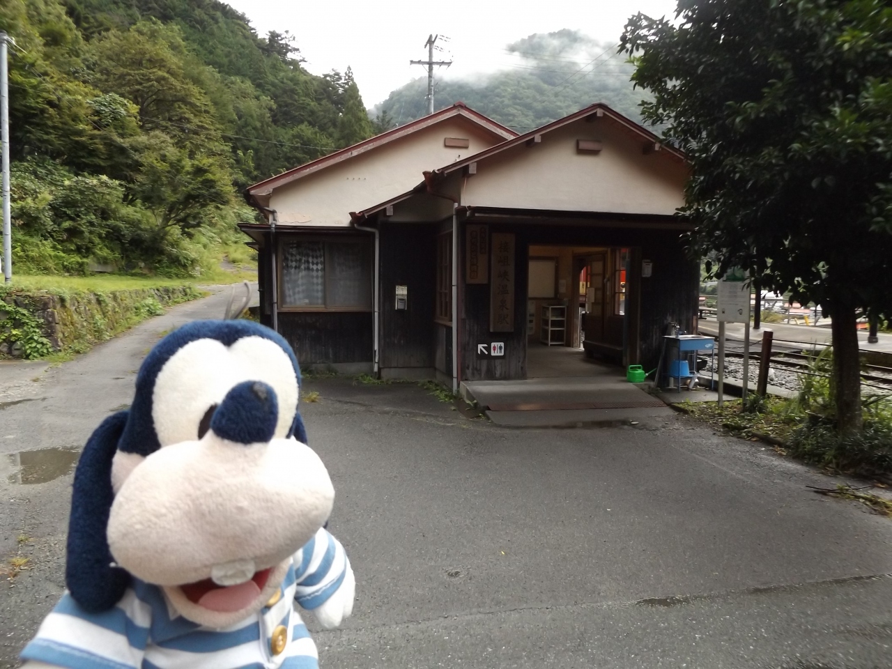 グーちゃん、奥大井へ行く!(接岨峡温泉の湯はトロトロのローション!?編)