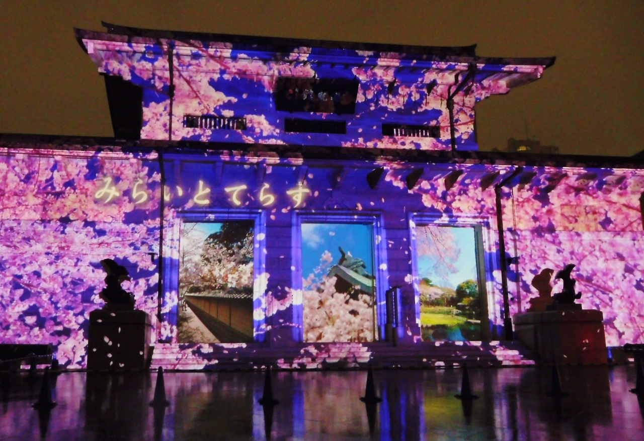 秋の夜長参拝 みらいとてらす 幻想的な光に彩られた靖国神社 神田 神保町 東京 の旅行記 ブログ By まめ猫さん フォートラベル