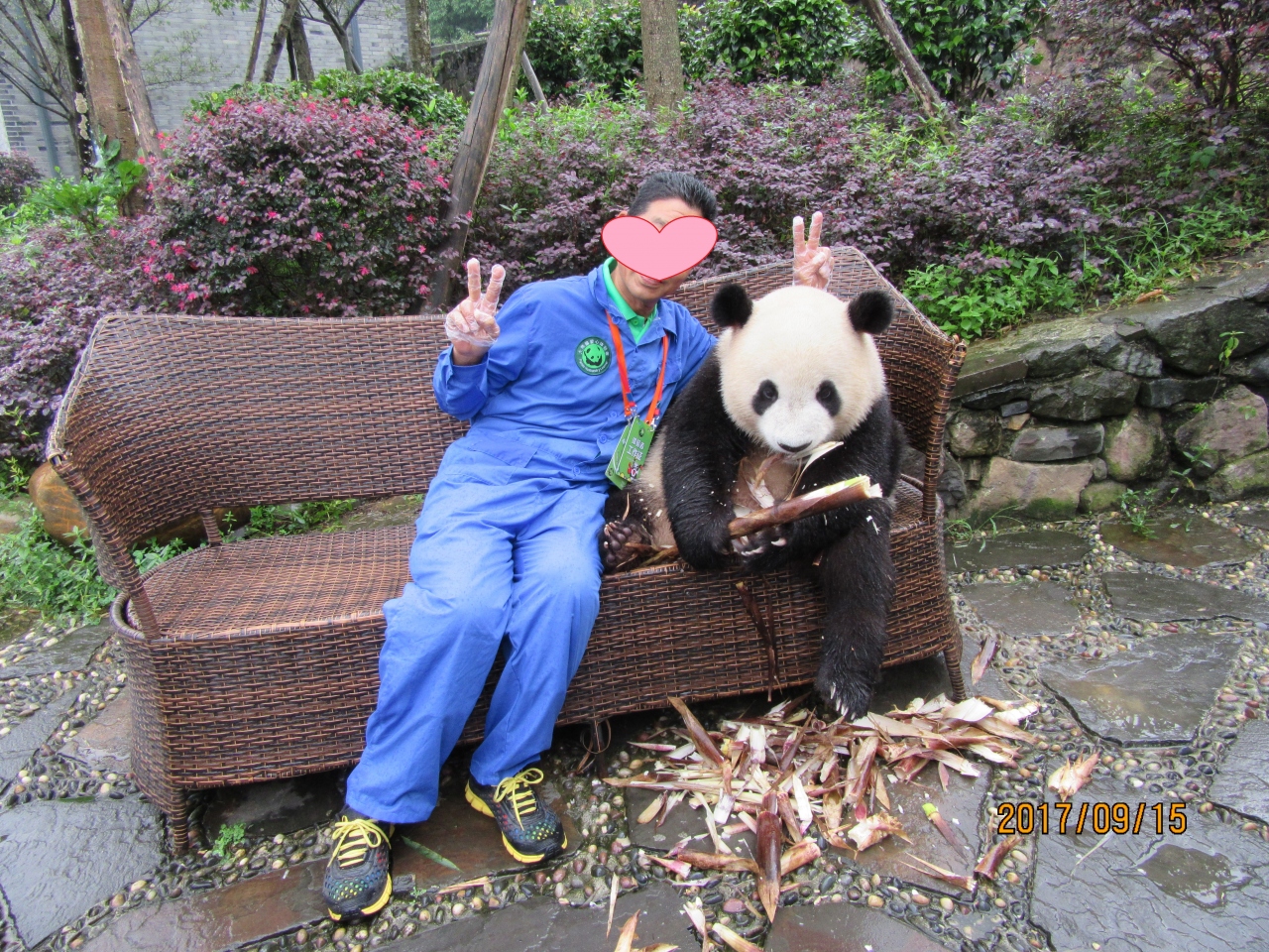 四川省パンダ基地飼育体験旅行 成都 中国 の旅行記 ブログ By マック太郎さん フォートラベル