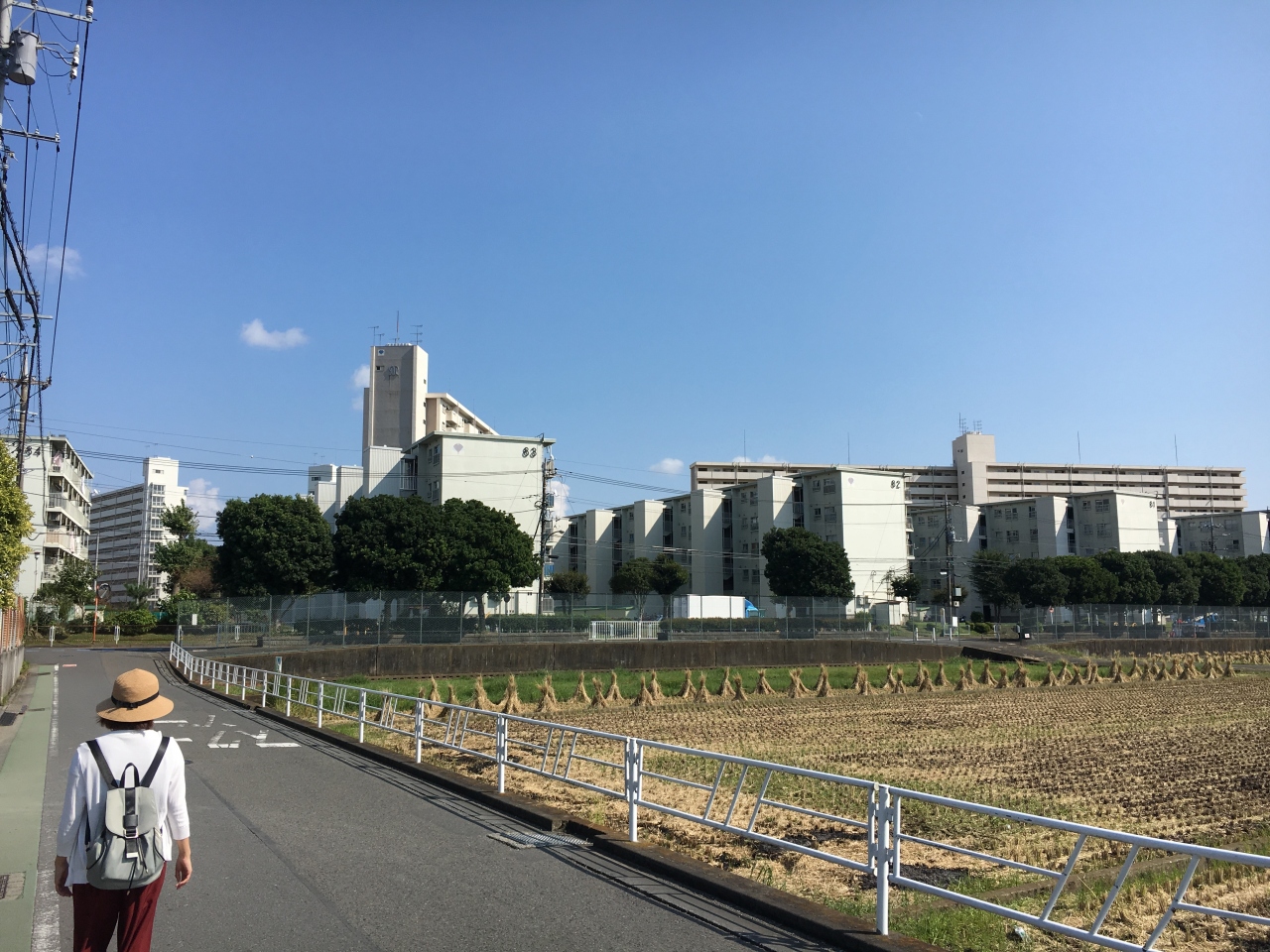 神奈川のリトル ベトナム 小田急線 高座渋谷を散策 神奈川県の旅行記 ブログ By Cozykozyさん フォートラベル