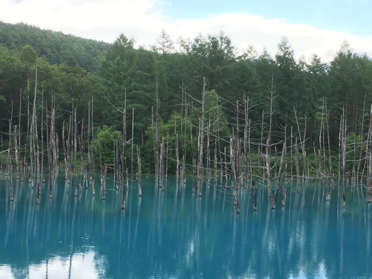 青い池とラベンダー畑 層雲峡とひまわり畑も観光満喫 北海道の旅行記 ブログ By Poteko0625さん フォートラベル 青い池とラベンダー畑 層雲峡とひまわり畑も観光満喫 北海道の旅行記 ブログ By Poteko0625さん フォートラベル