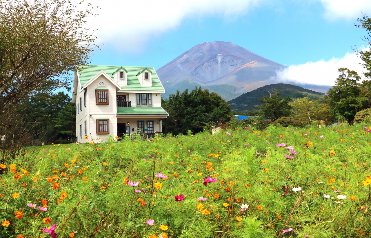ダリアとコスモスの咲く天空の花畑 裾野 長泉 静岡県 の旅行記 ブログ By Oakatさん フォートラベル ダリアとコスモスの咲く天空の花畑 裾野 長泉 静岡県 の旅行記 ブログ By Oakatさん フォートラベル