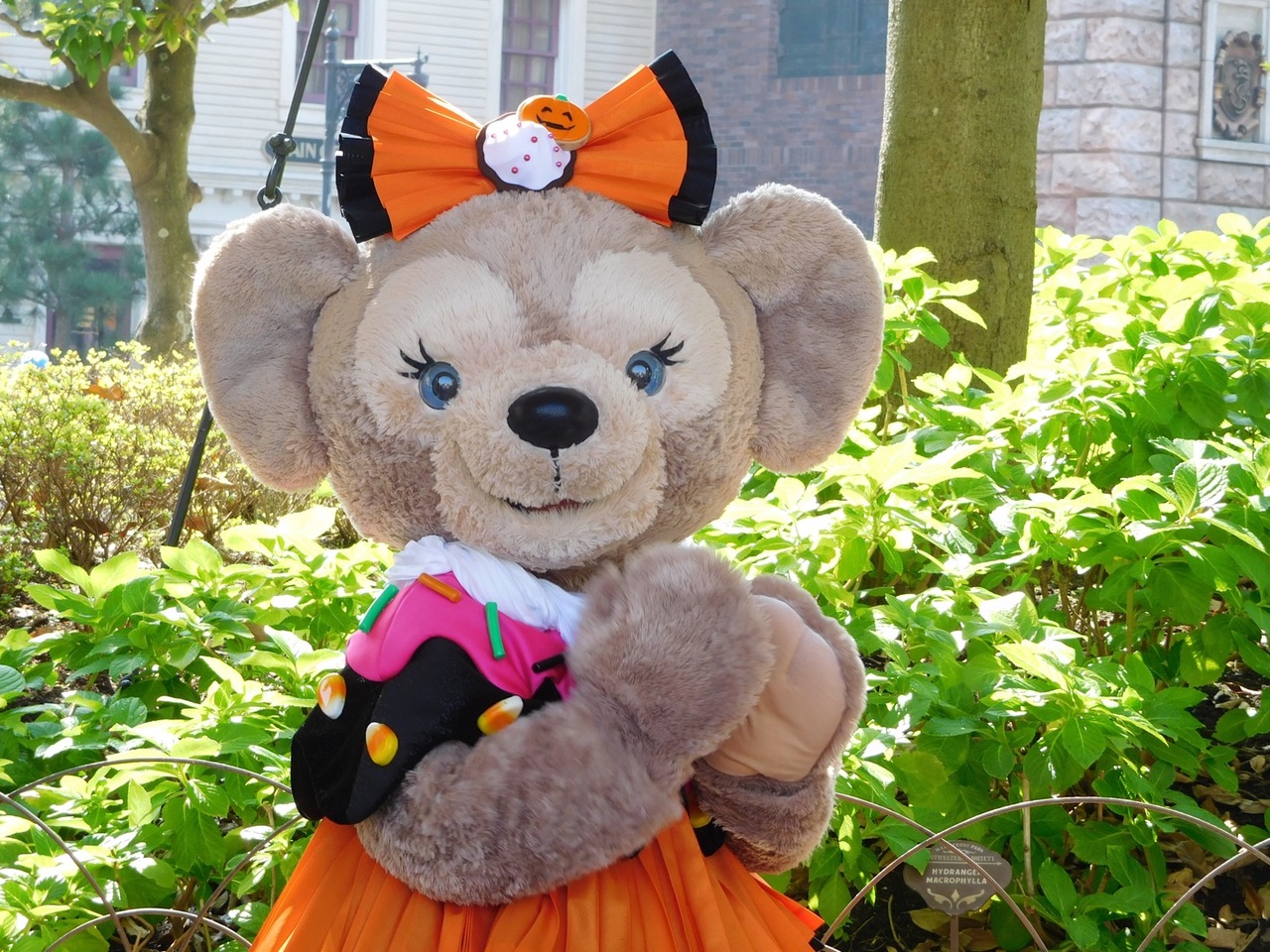 2017 年パス日記 その29 ハロウィン度の2日目 東京ディズニーリゾート 千葉県 の旅行記 ブログ By りぽちゃんさん フォートラベル