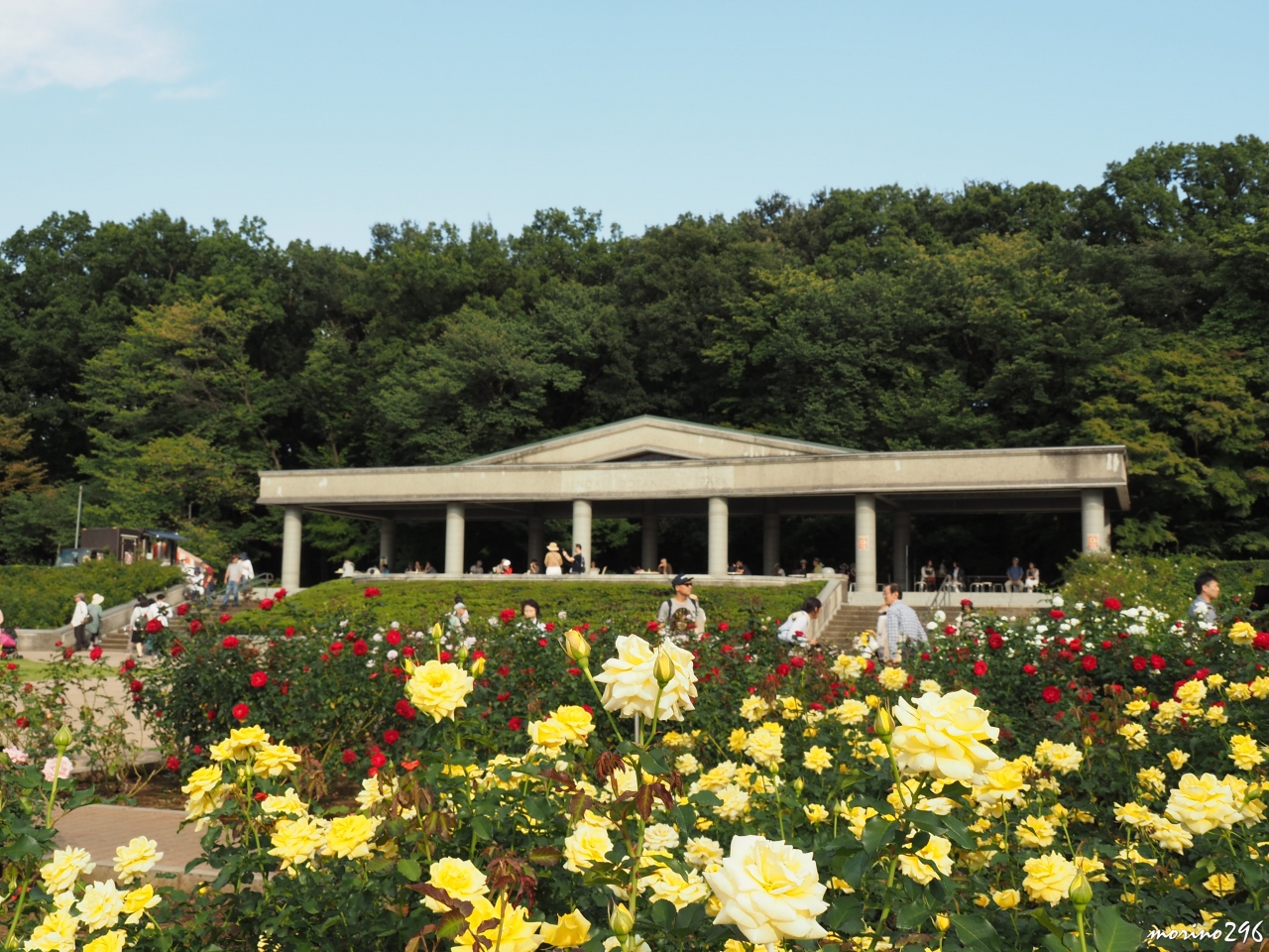 深大寺の白鳳仏 国宝 と神代植物公園の秋バラ 調布 狛江 東京 の旅行記 ブログ By Morino296さん フォートラベル