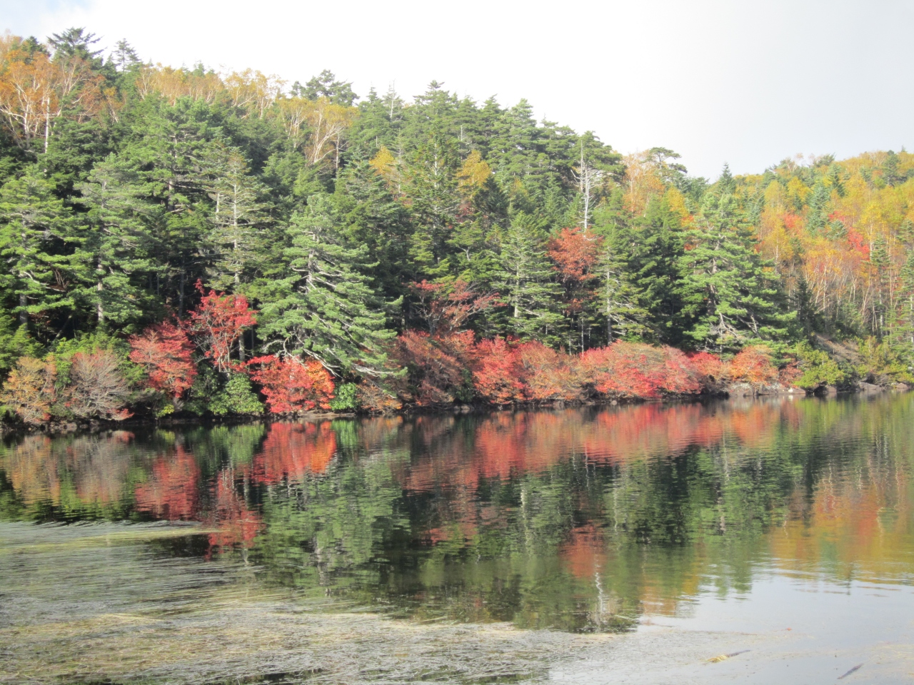 紅葉の白駒池とにゅう登山 2回目のテント泊 南牧 小海 長野県 の旅行記 ブログ By すぐちゃんさん フォートラベル