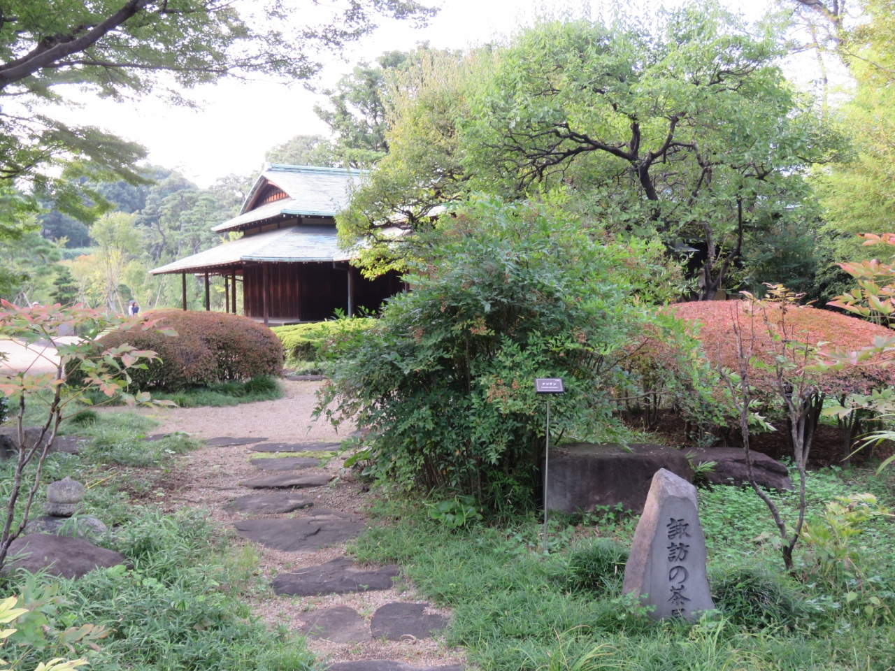 祭日に皇居 東御苑を訪問する 汐見坂 二の丸雑木林 二の丸庭園 大手門迄 丸の内 大手町 八重洲 東京 の旅行記 ブログ By Tsunetaさん フォートラベル