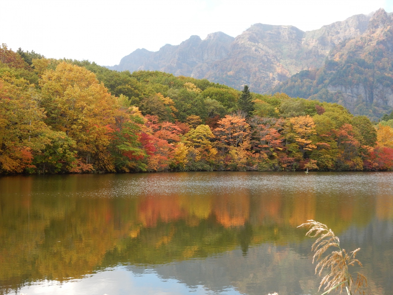 紅葉真っ盛りの 戸隠神社5社巡り と 鏡池の絶景 を楽しむ 戸隠 鬼無里 長野県 の旅行記 ブログ By 城megrist Kazさん フォートラベル