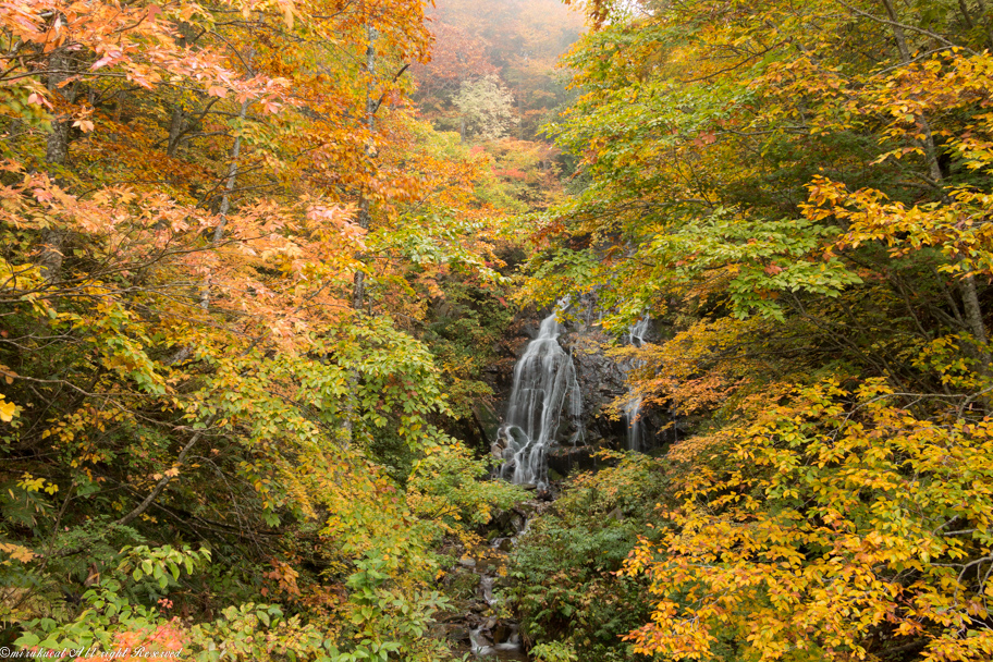 濃霧爆発の西吾妻スカイバレーの紅葉 裏磐梯 猫魔 福島県 の旅行記 ブログ By Mirukuさん フォートラベル