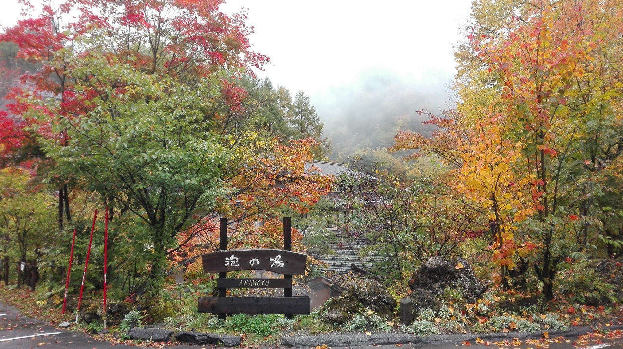 白骨 紅葉真っ盛りの白骨温泉で日帰り入浴する旅 白骨温泉 長野県 の旅行記 ブログ By ヤッターマン３号さん フォートラベル