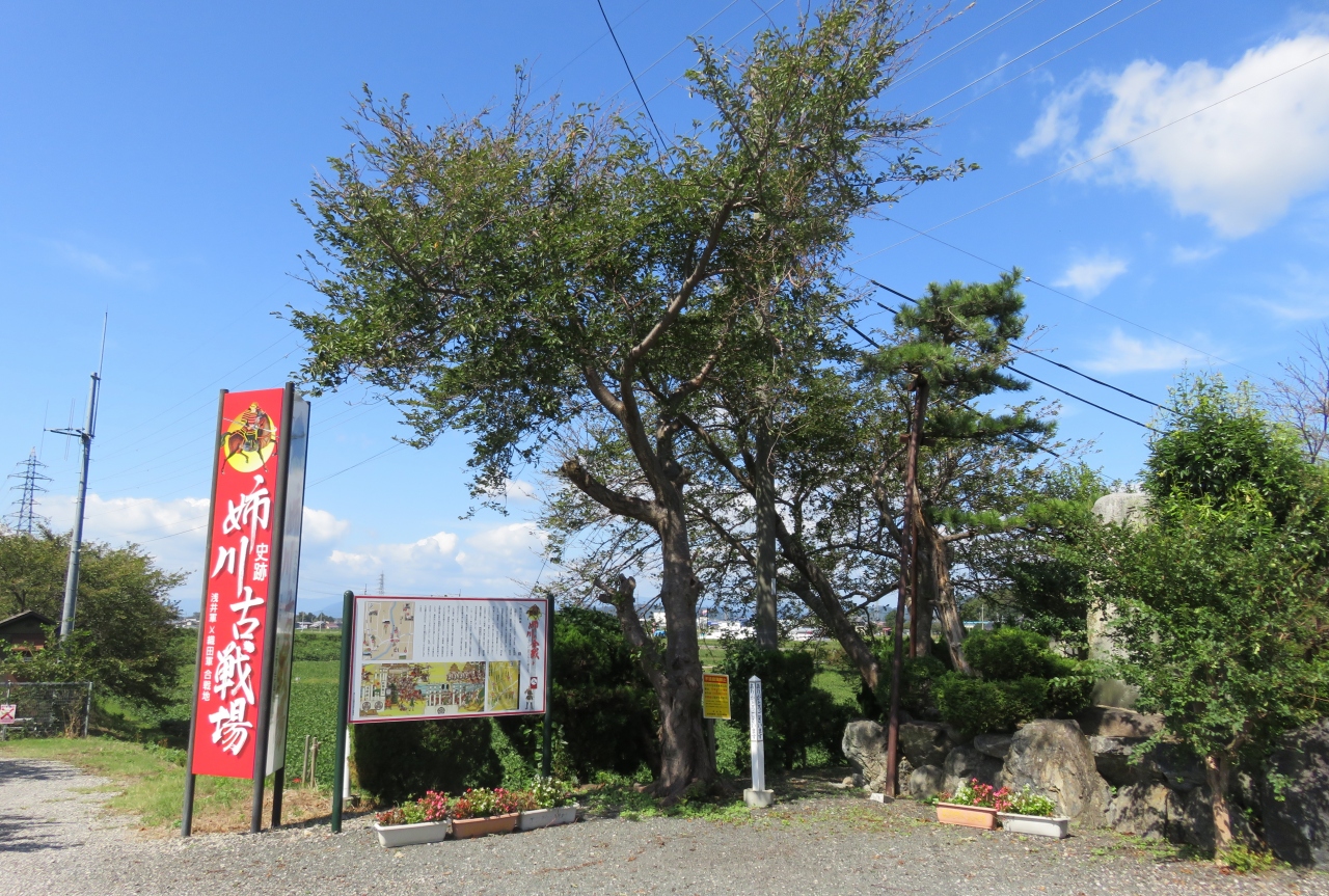 2017秋、姉川の古戦場(3/8):9月21日(3):姉川古戦場(3):姉川、古戦場碑、戦死者慰霊碑、彼岸花、三田地区