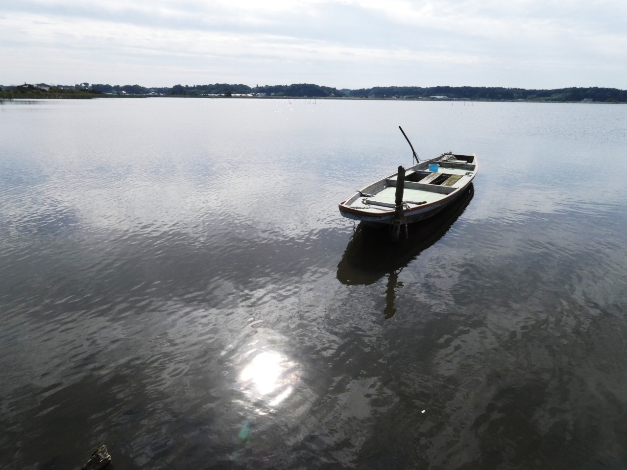 涼しくなったので手賀沼を時計回りに歩いた 我孫子 千葉県 の旅行記 ブログ By Docanドカンさん フォートラベル