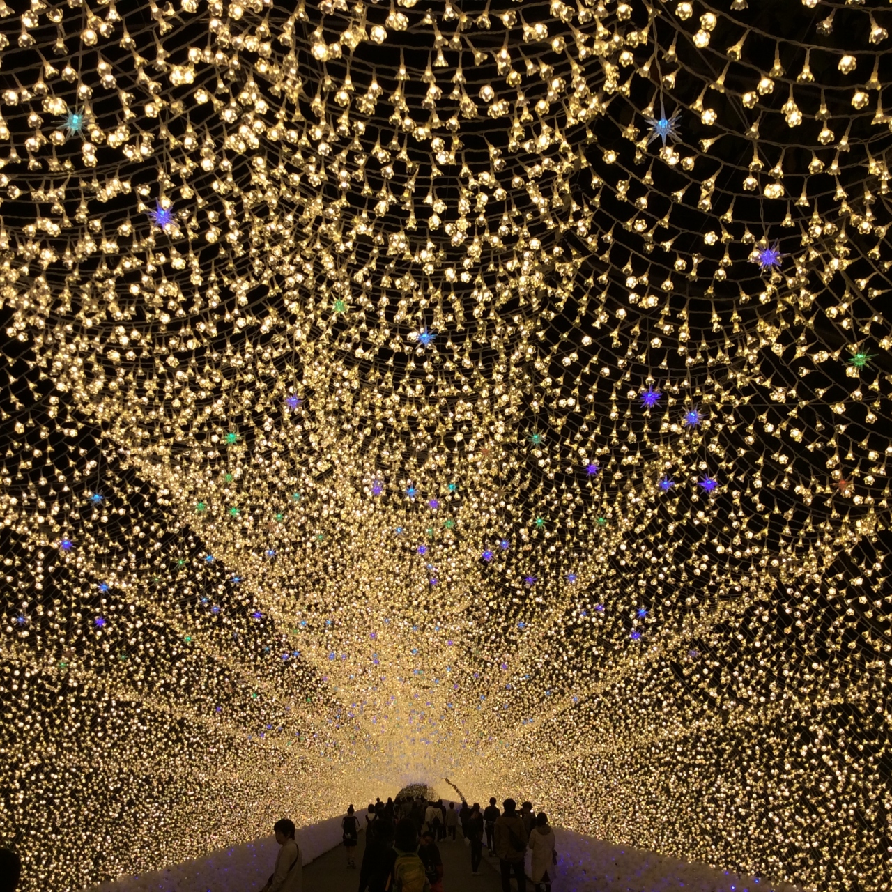 17年10月 なばなの里 長島温泉 一泊旅行 桑名 長島 三重県 の旅行記 ブログ By Kamyさん フォートラベル