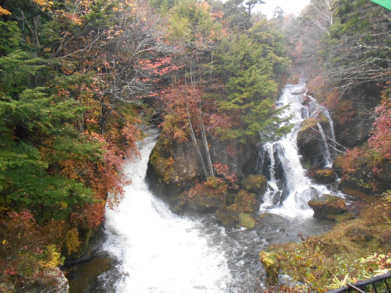 雨の日光 紅葉日帰りバスツアー 日光 栃木県 の旅行記 ブログ By Iko Ruさん フォートラベル