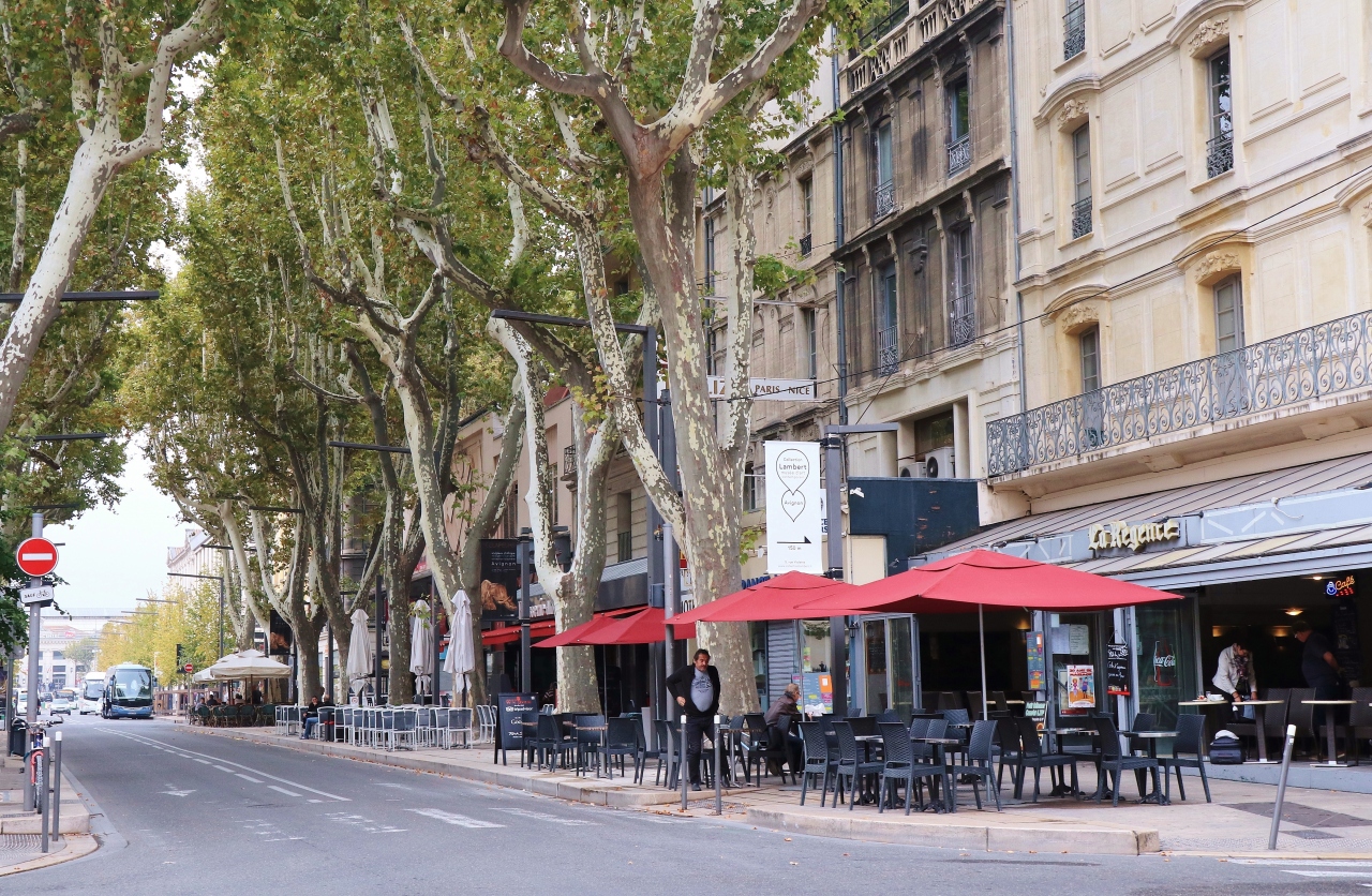 フランス 美しい街並みと世界遺産を訪ねて 14 再びのアヴィニヨンそしてパリへ アヴィニヨン フランス の旅行記 ブログ By クッシーさん フォートラベル