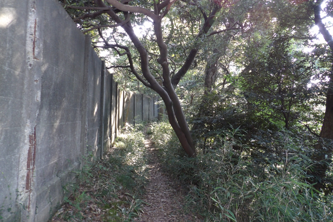 十二所果樹園から久木大池 塀沿いのハイキングコース 逗子 葉山 神奈川県 の旅行記 ブログ By ドクターキムルさん フォートラベル 十二所果樹園から久木大池 塀沿いのハイキングコース 逗子 葉山 神奈川県 の旅行記 ブログ By ドクターキムルさん フォートラベル