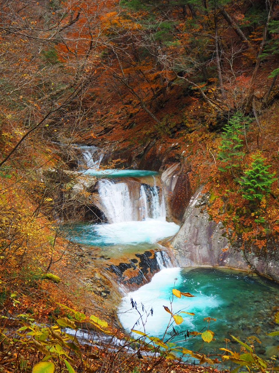 紅葉の西沢渓谷ハイキング 山梨市 山梨県 の旅行記 ブログ By Jalan Jalanさん フォートラベル